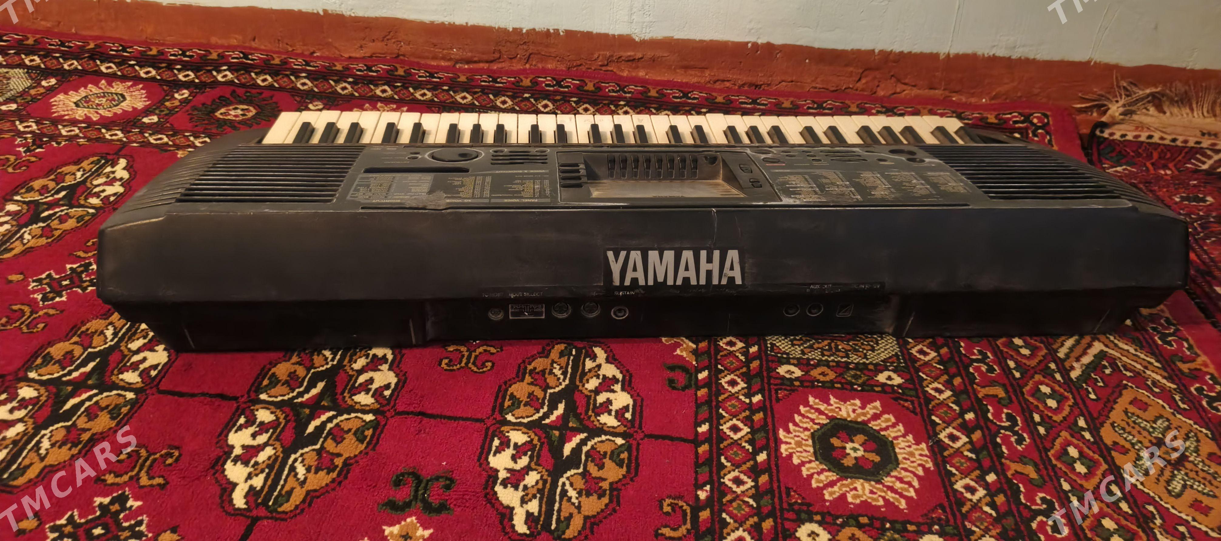 yamaha - Gurbansoltan Eje - img 1