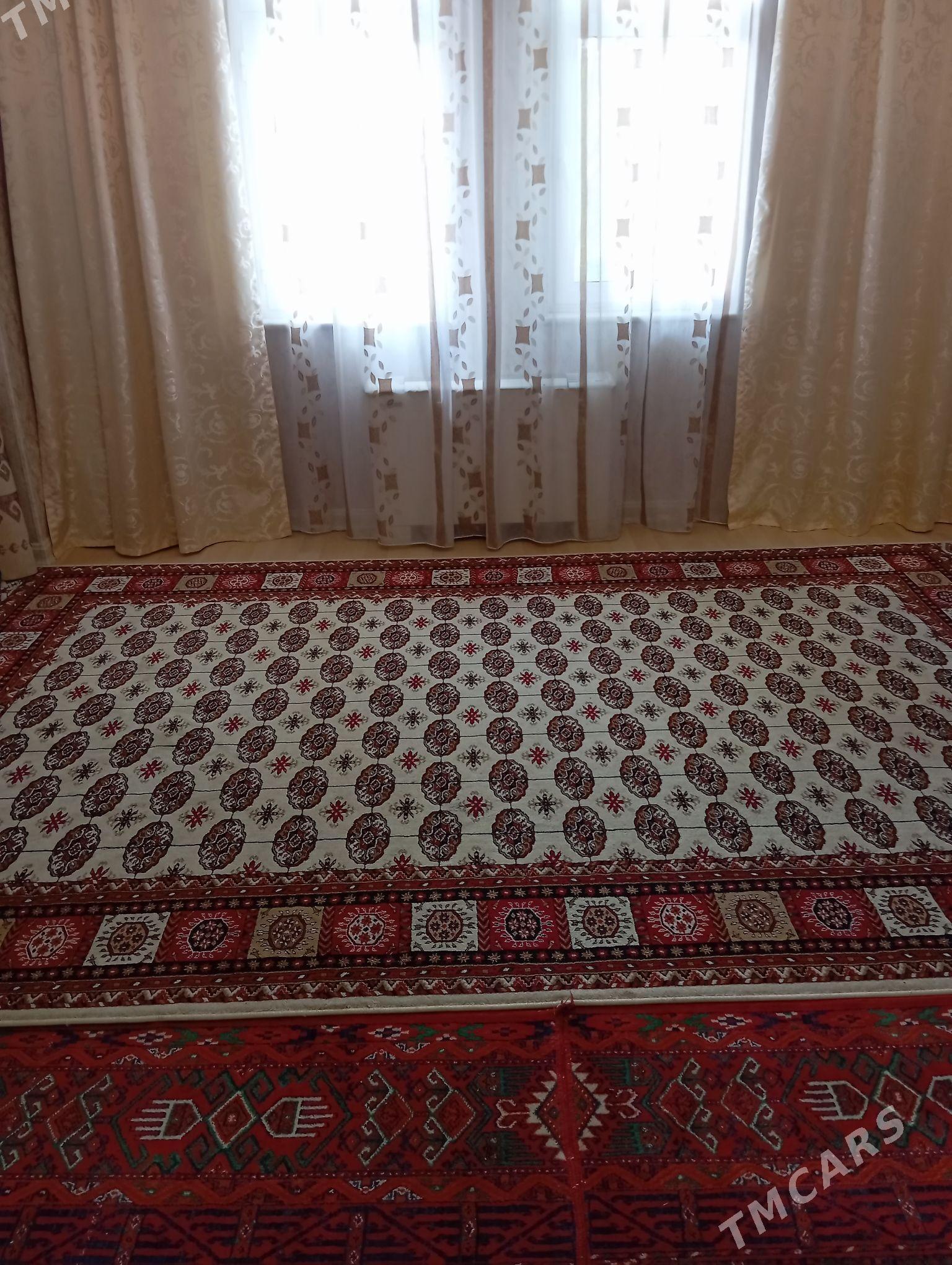 haly - Köşi - img 1