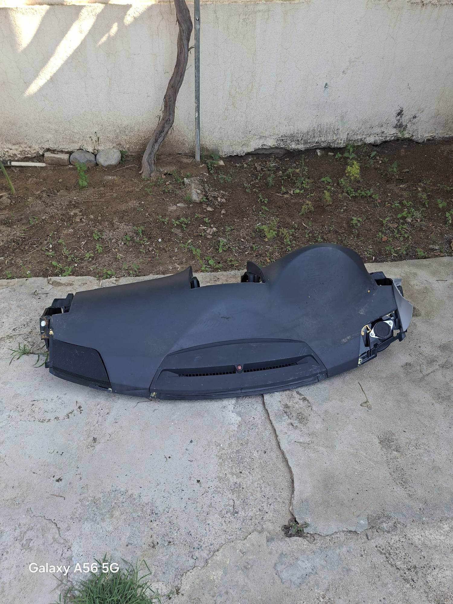 Okuz kelle tardeda gara 1 200 TMT - Aşgabat - img 1