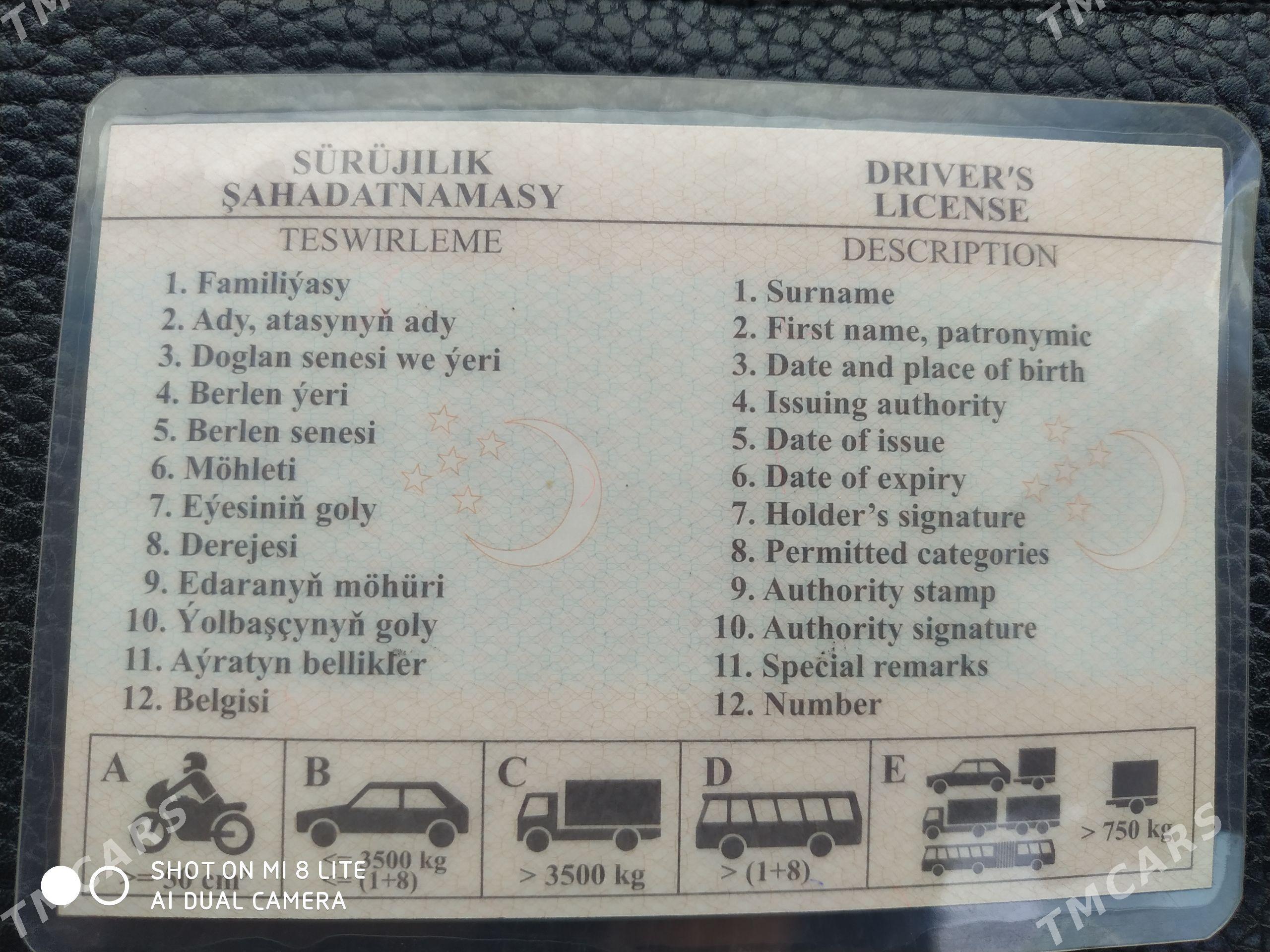 Sürijilik hakynda şahadatnama - Анев - img 1