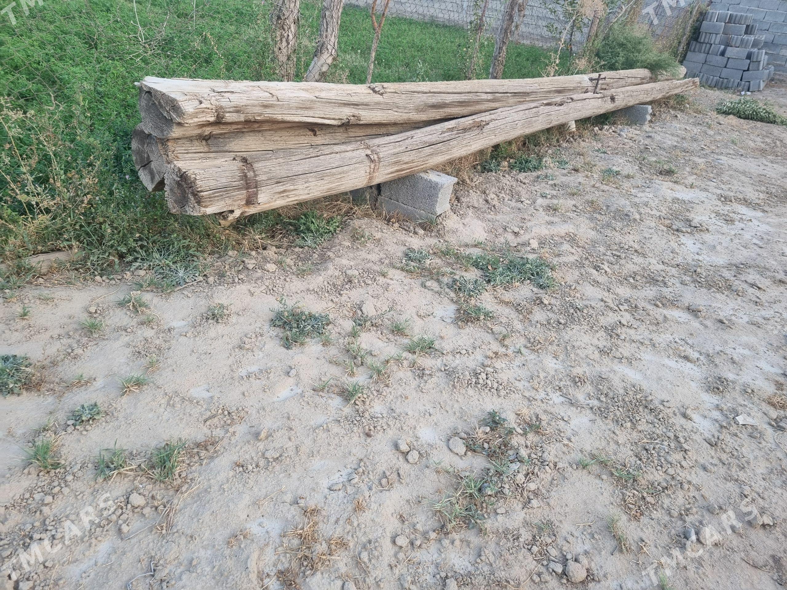 Stolba Toňňe pürs agaç - Änew - img 1