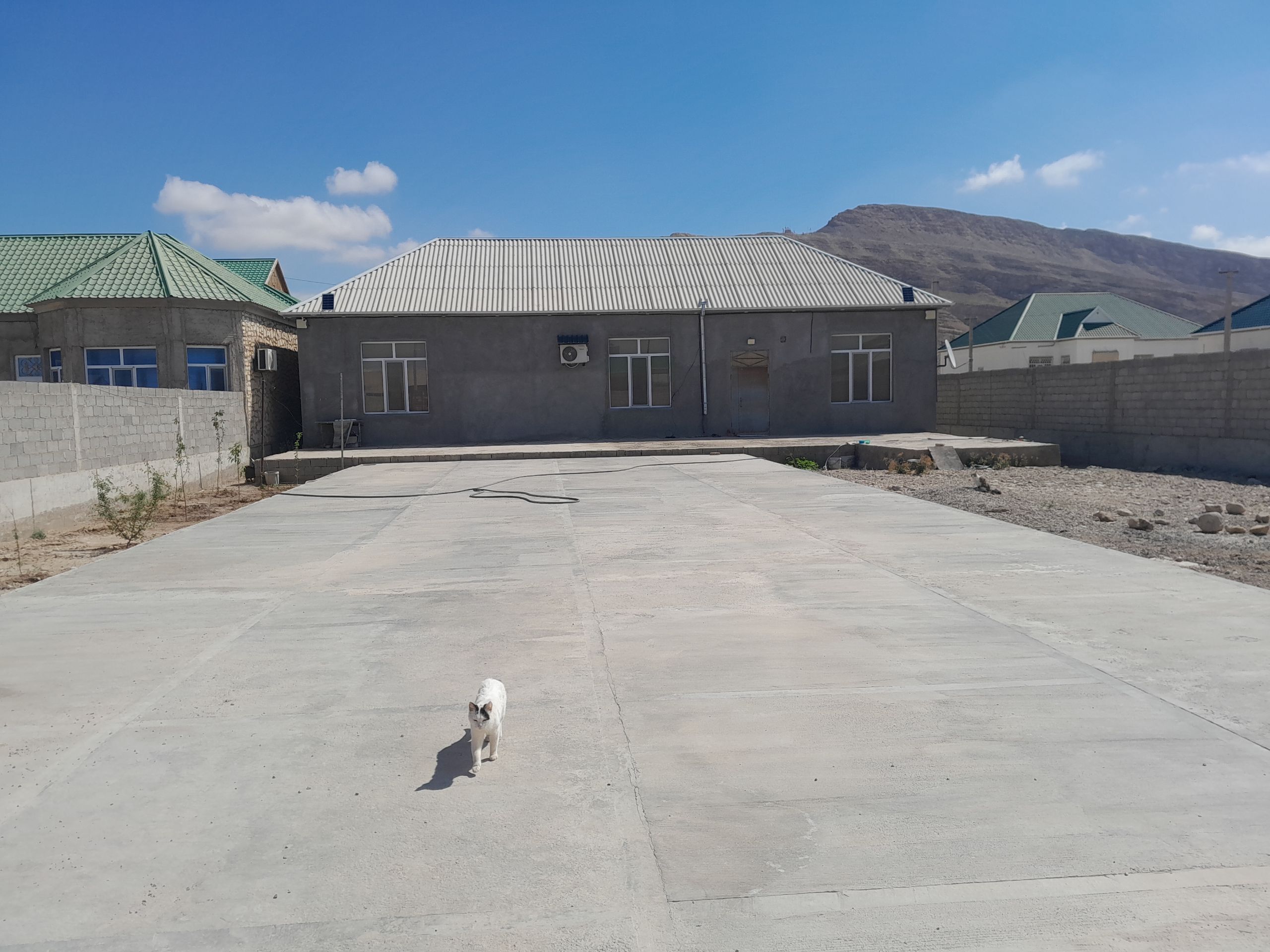 жебел - Jebel - img 1