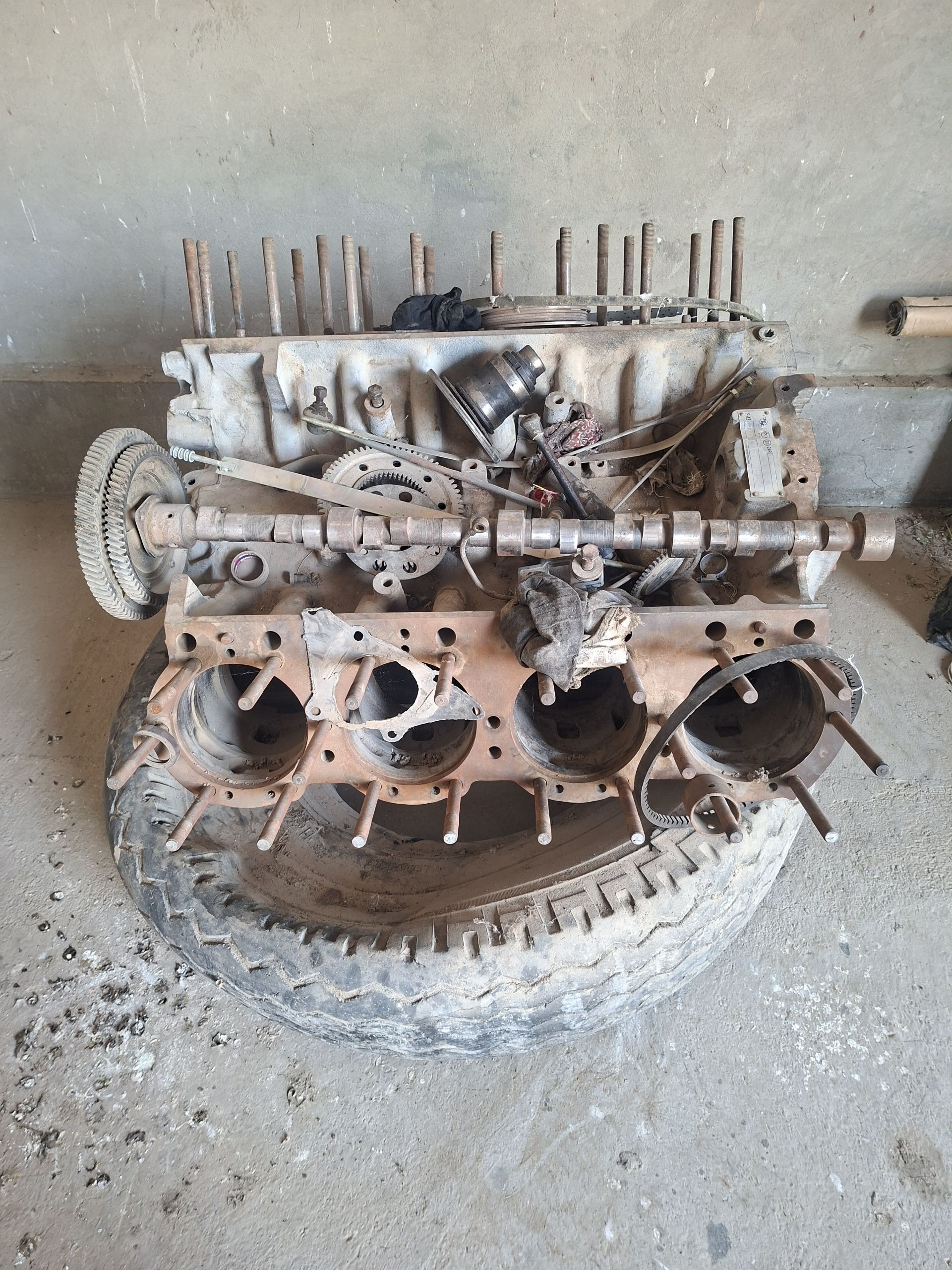 MAZ 7 000 TMT - Кака - img 1