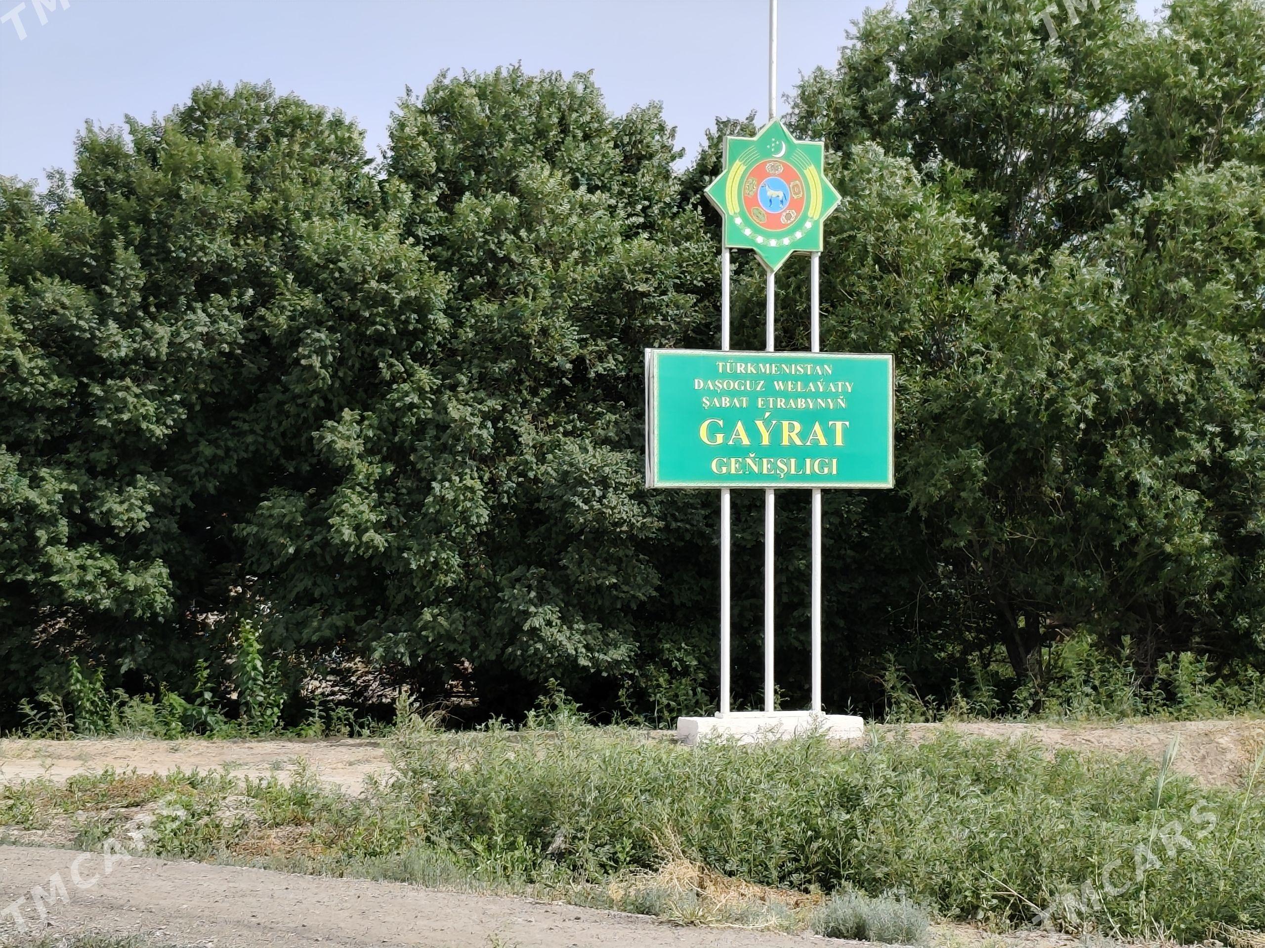 ucaska jay - Дашогуз - img 1