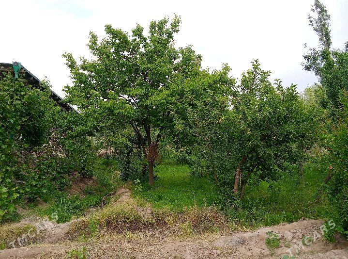 Satlyk jaý. - Görogly (Tagta) - img 1