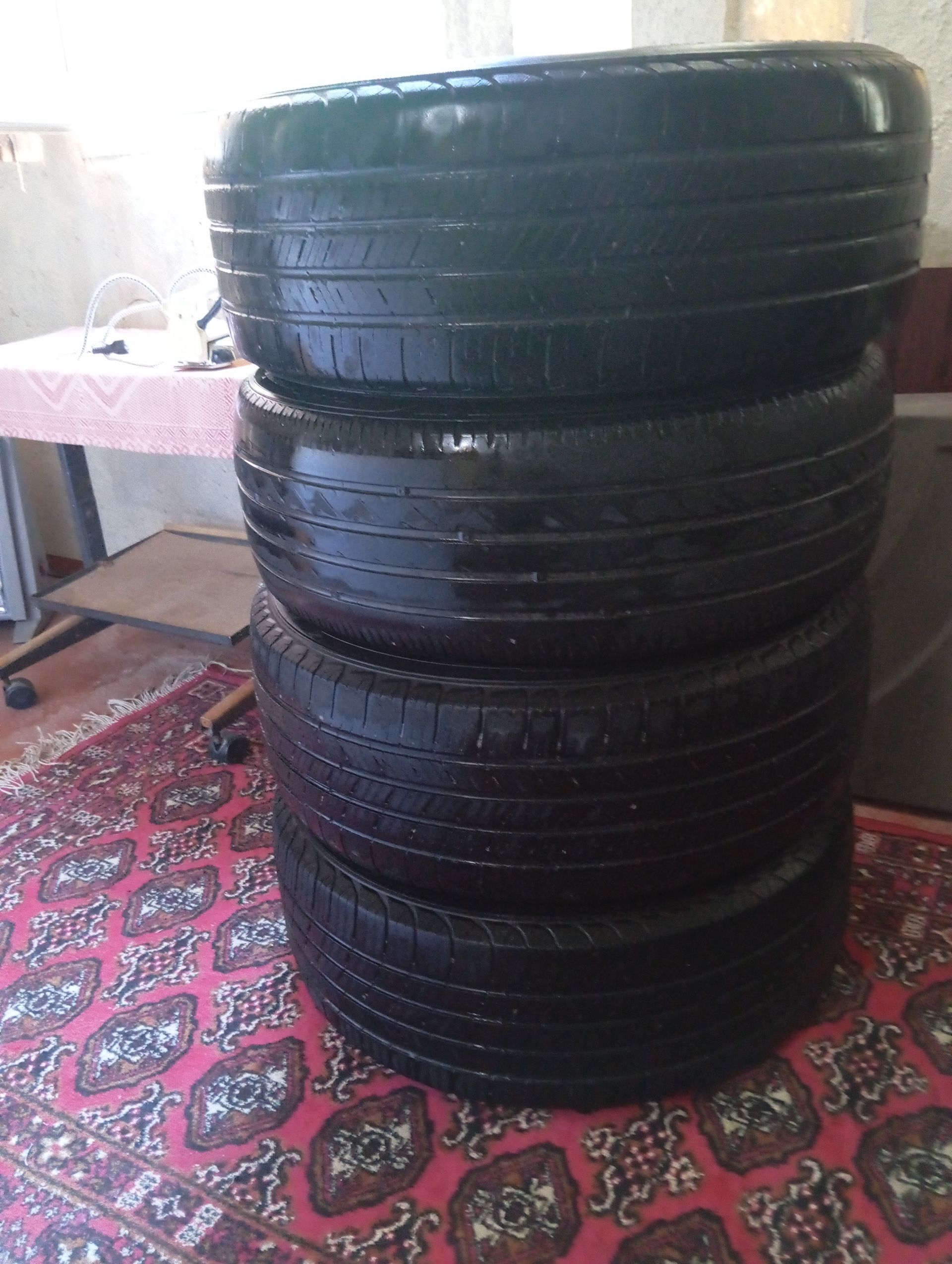 pakryşka 500 TMT - Mary - img 1