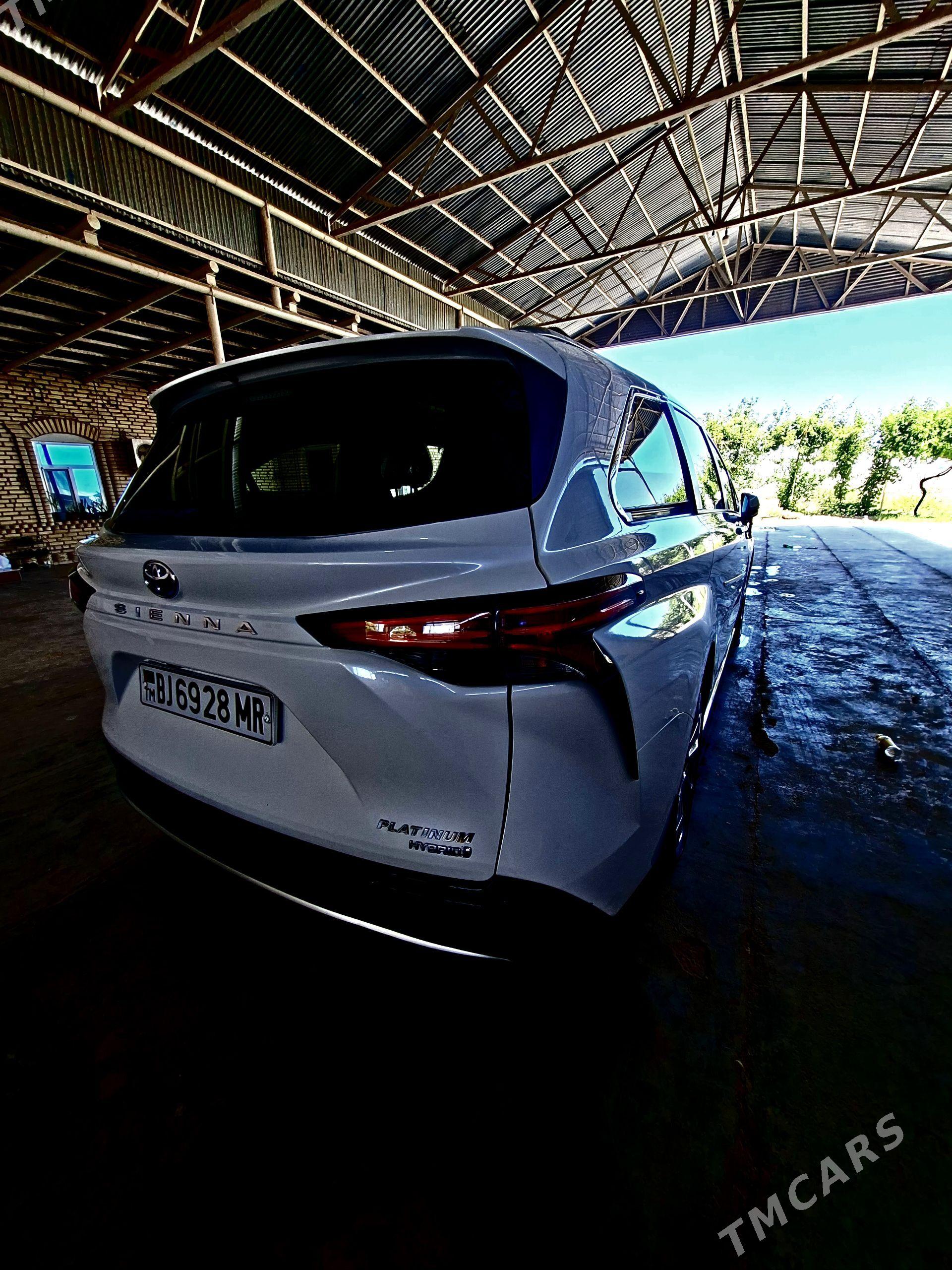 Toyota Sienna 2024 - 600 000 TMT - Sakarçäge - img 1