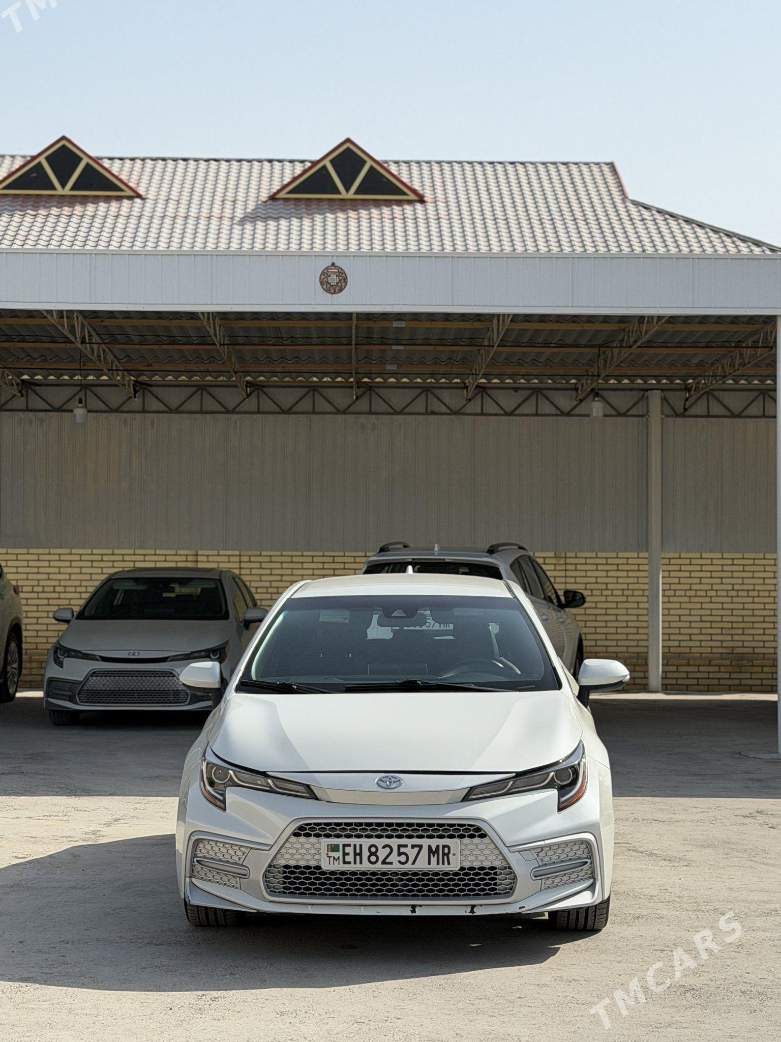 Toyota Corolla 2021 - 229 999 TMT - Мары - img 1