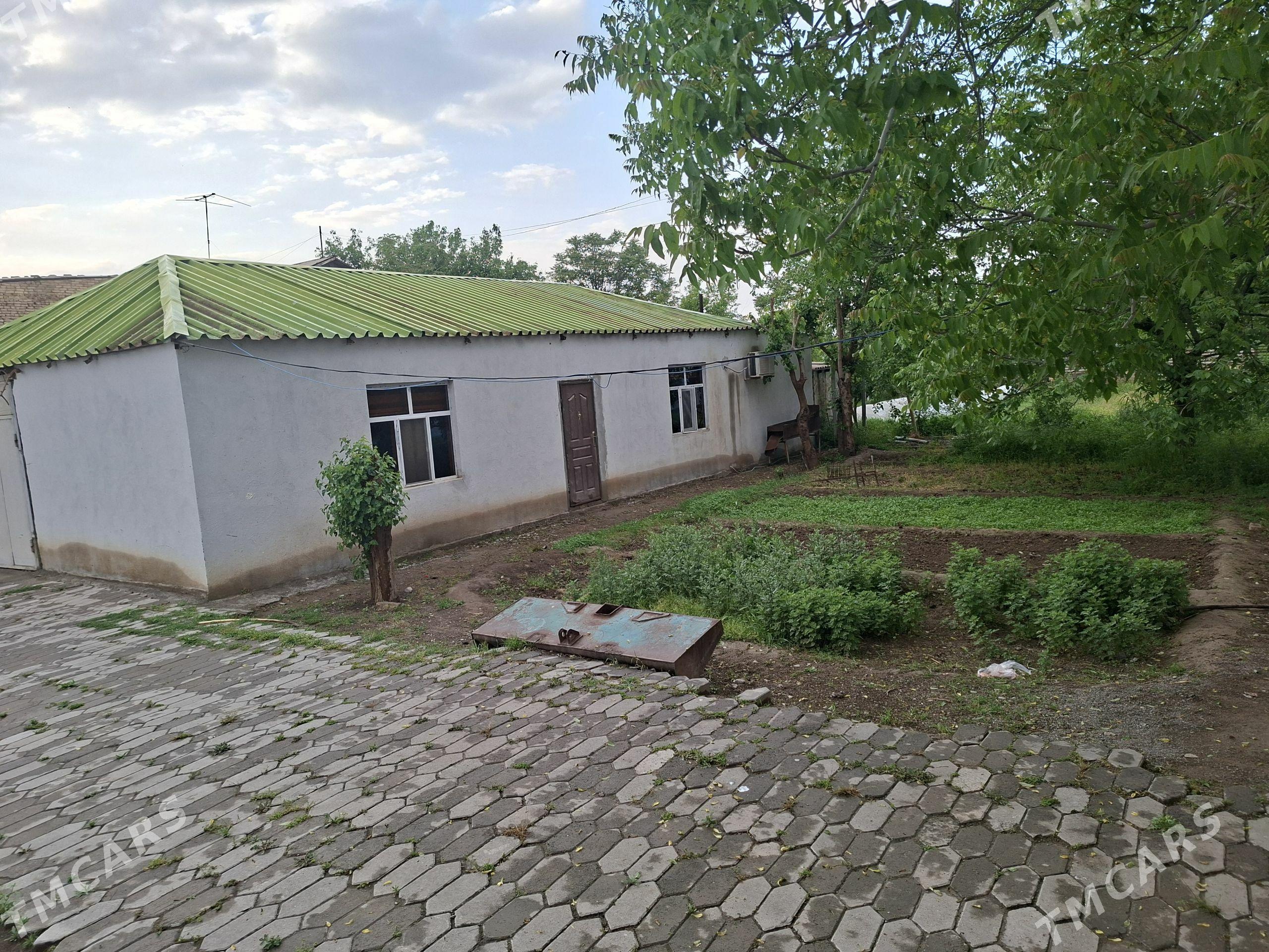 EYESINDEN SATLYK JAY - Бекреве - img 1