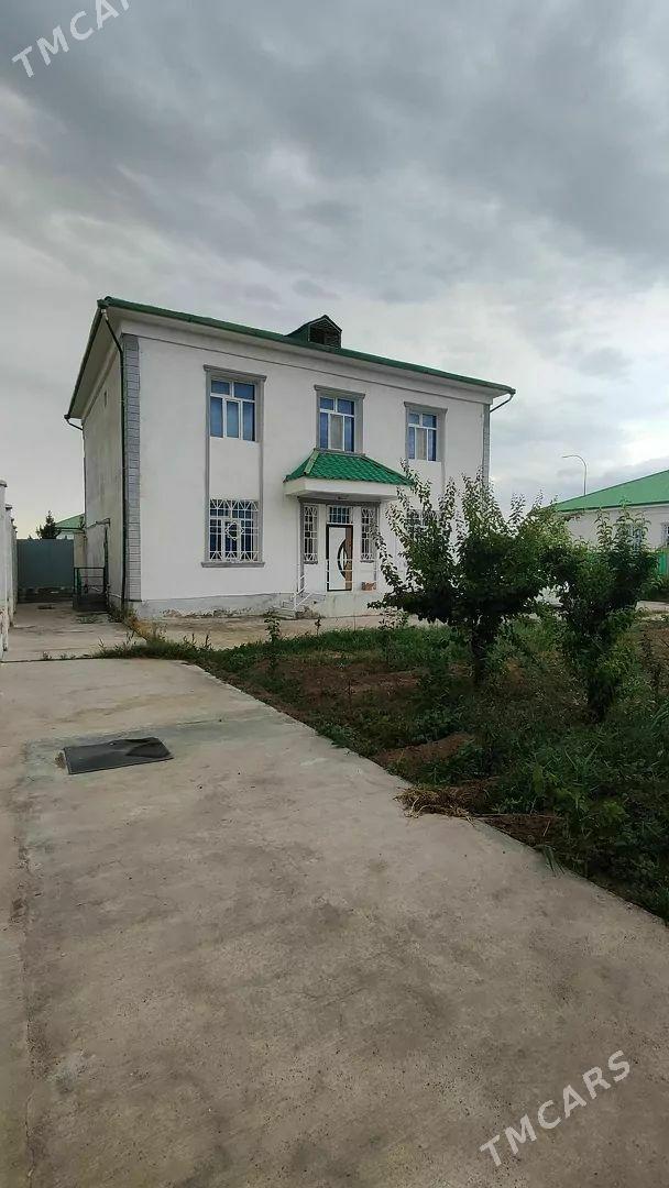 taze zaman katez 2nji tapgyr - Тязе заман - img 1