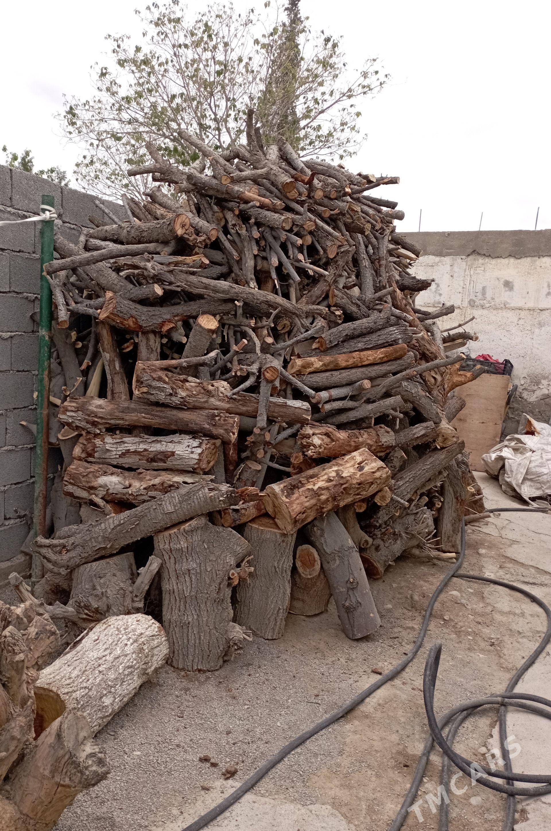 Odun - Aşgabat - img 1