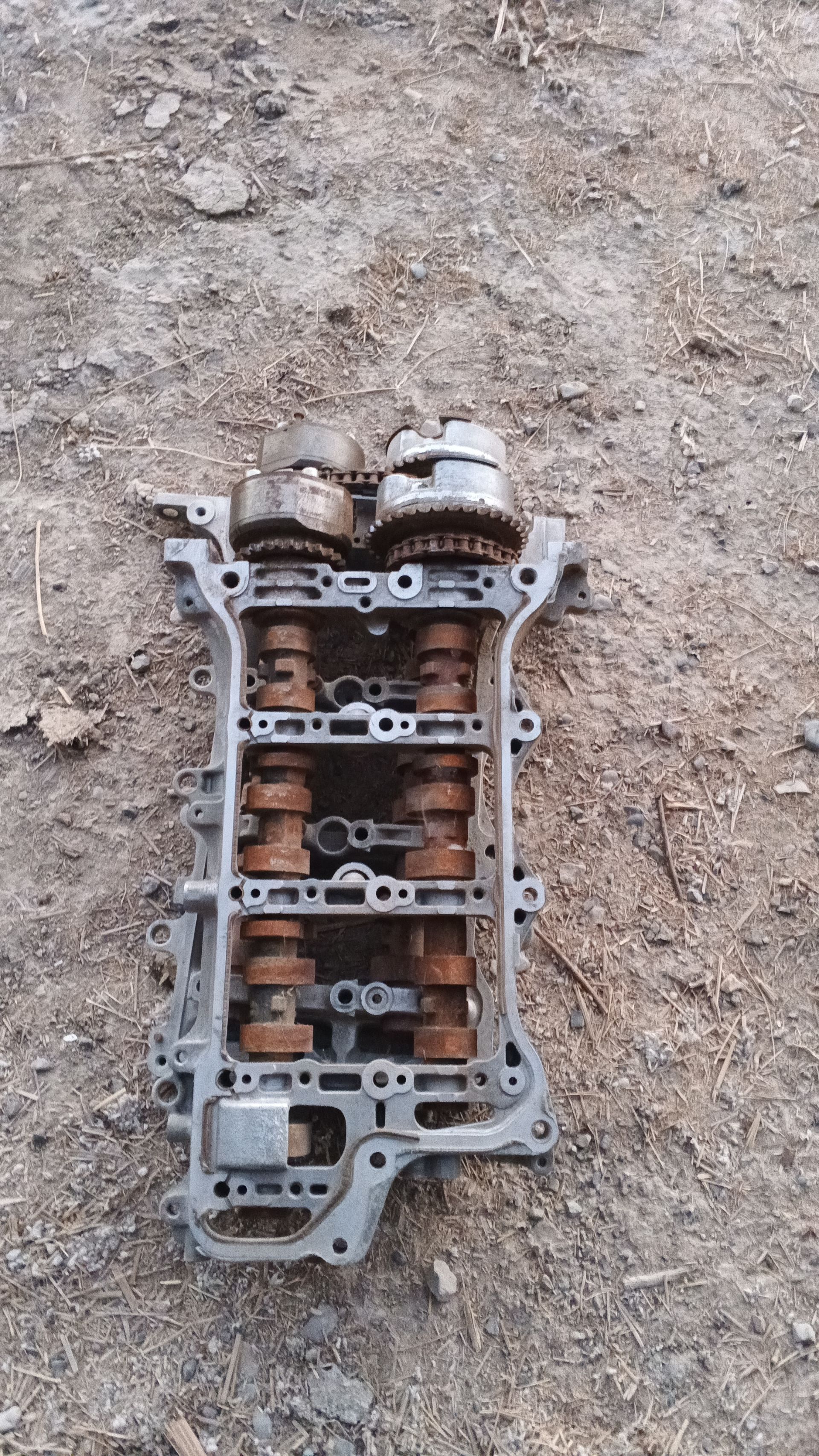 Wanus 3.5 lik 450 TMT - Мары - img 1