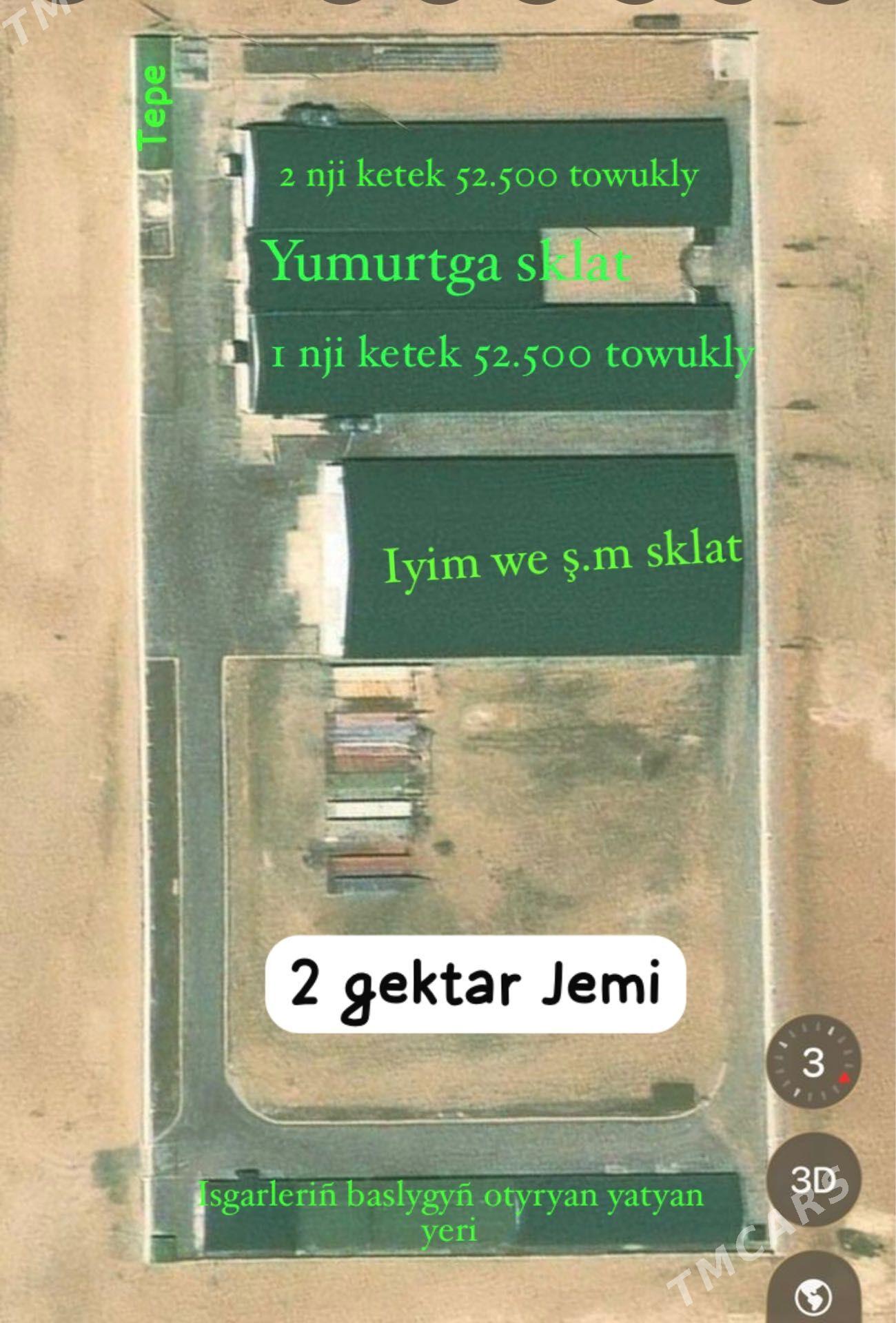 Towuk ferns (yumurtgalyk) - Туркменбаши - img 1