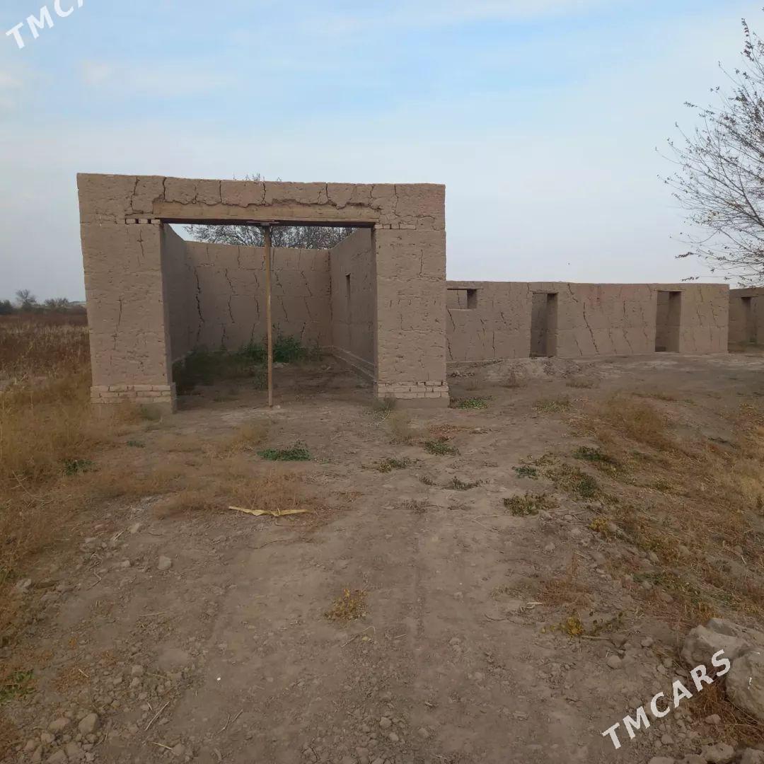 ucaska dz jay - Görogly (Tagta) - img 1