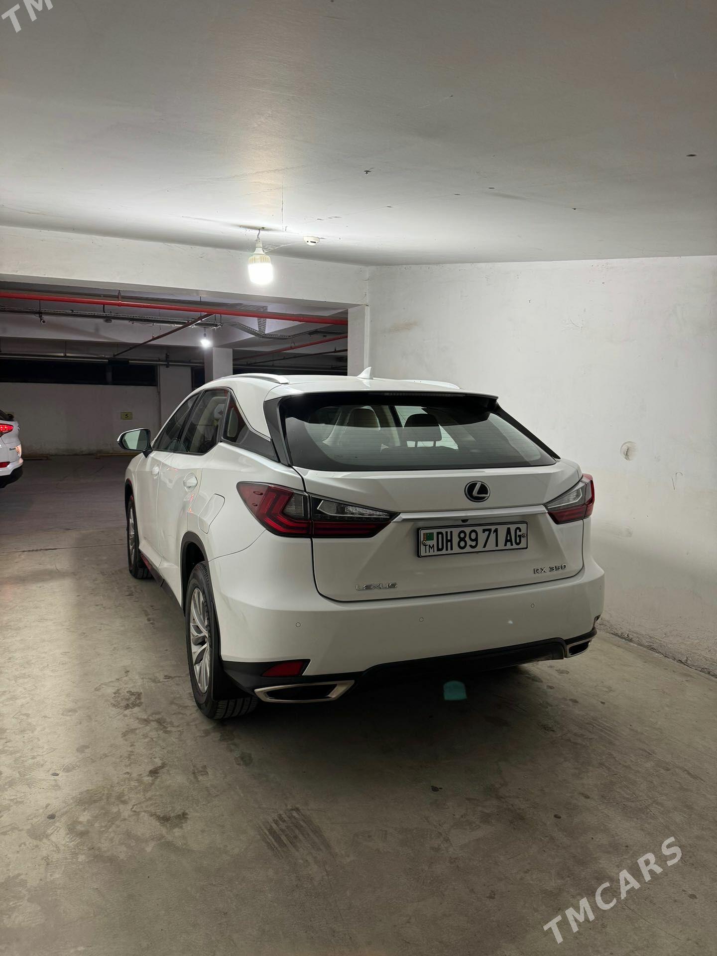 Lexus RX 350 2020 - 555 000 TMT - Aşgabat - img 1