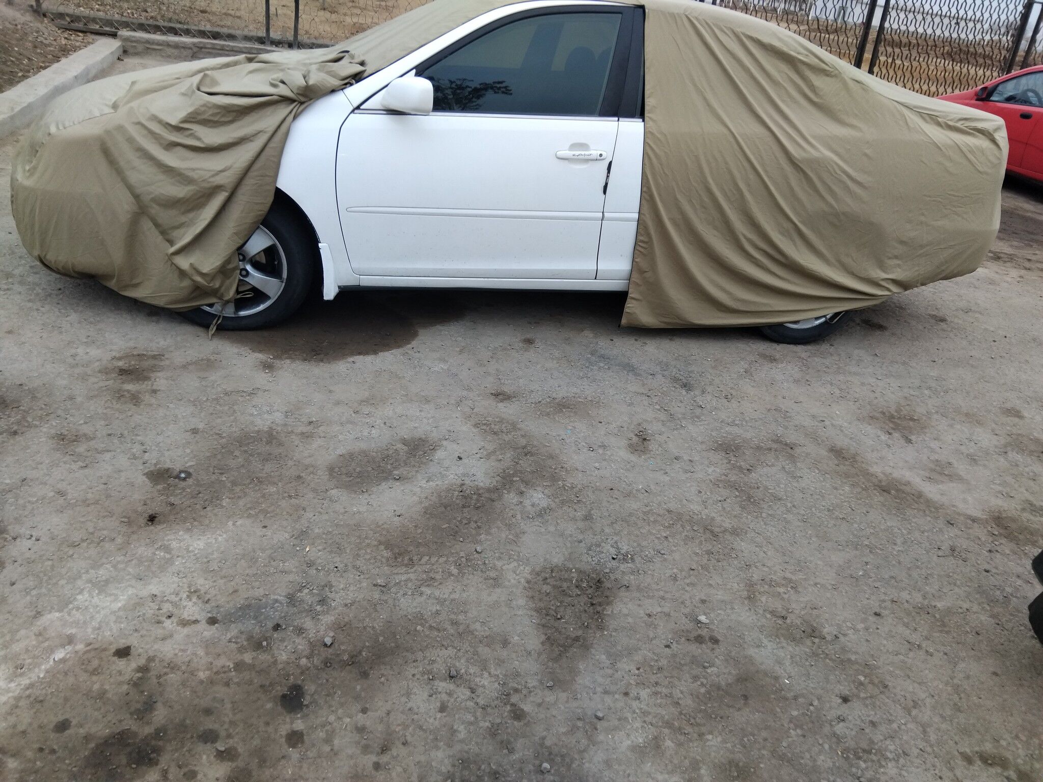 tent üst ỳpynja 300 TMT - Daşoguz - img 1