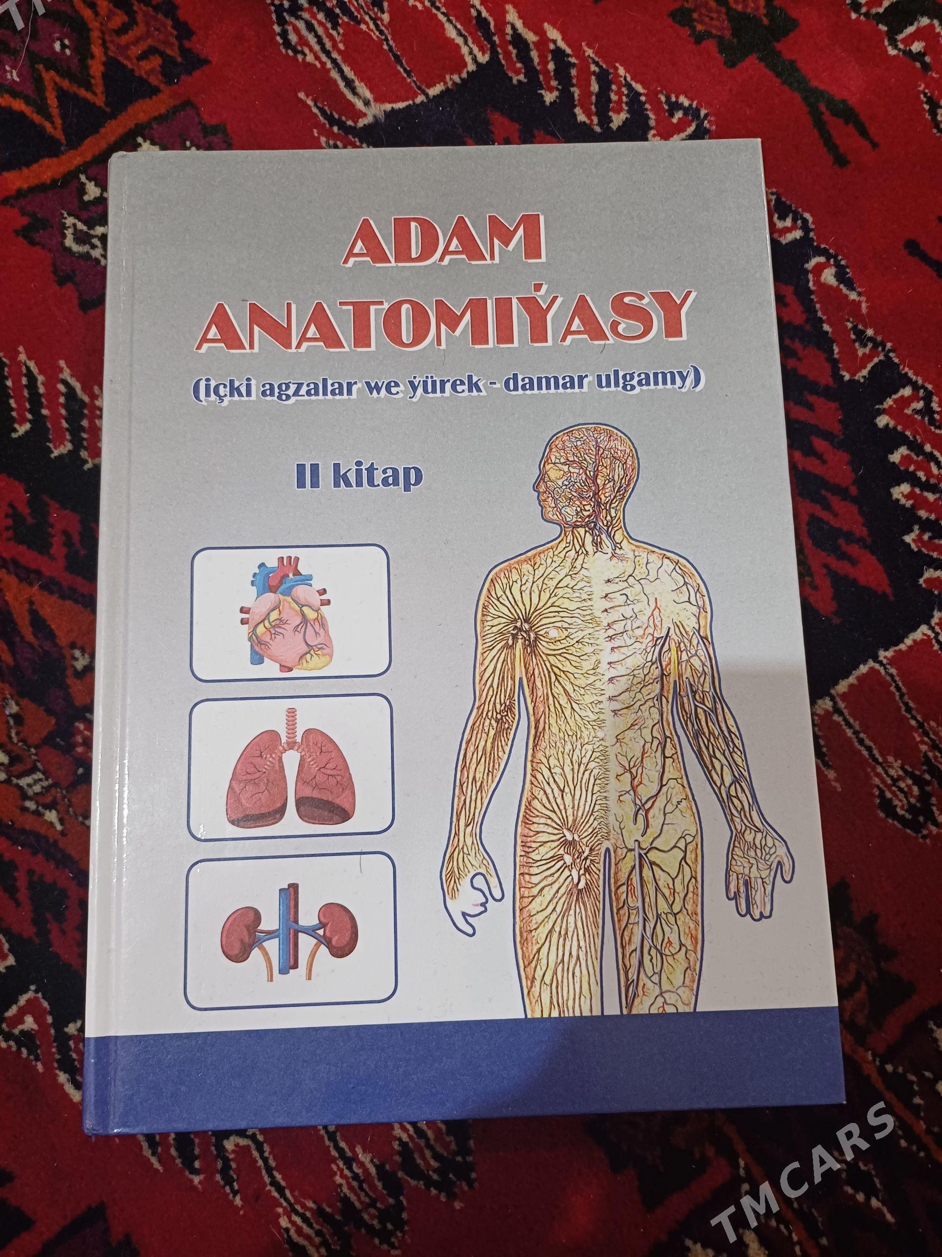 adam anatomiyasy kitap - Чоганлы - img 1