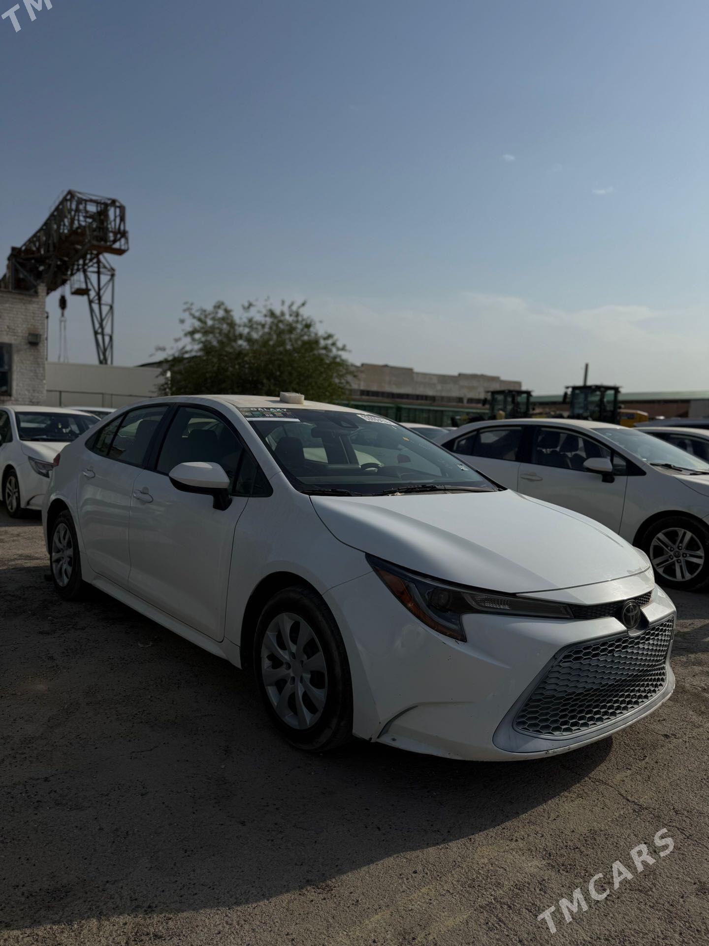 Toyota Corolla 2022 - 243 750 TMT - Мары - img 1
