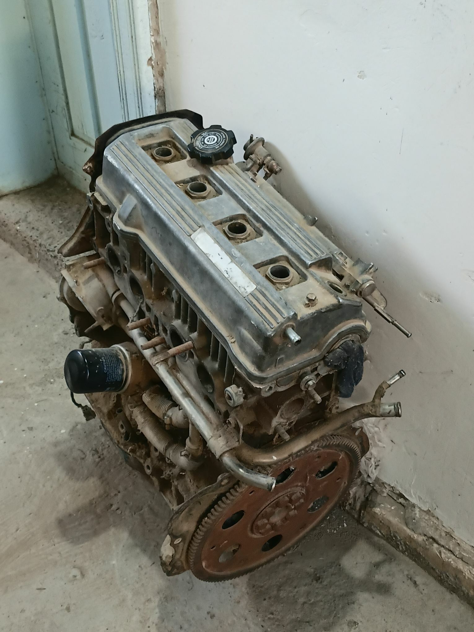 Camry mator 2 000 TMT - Sakarçäge - img 1