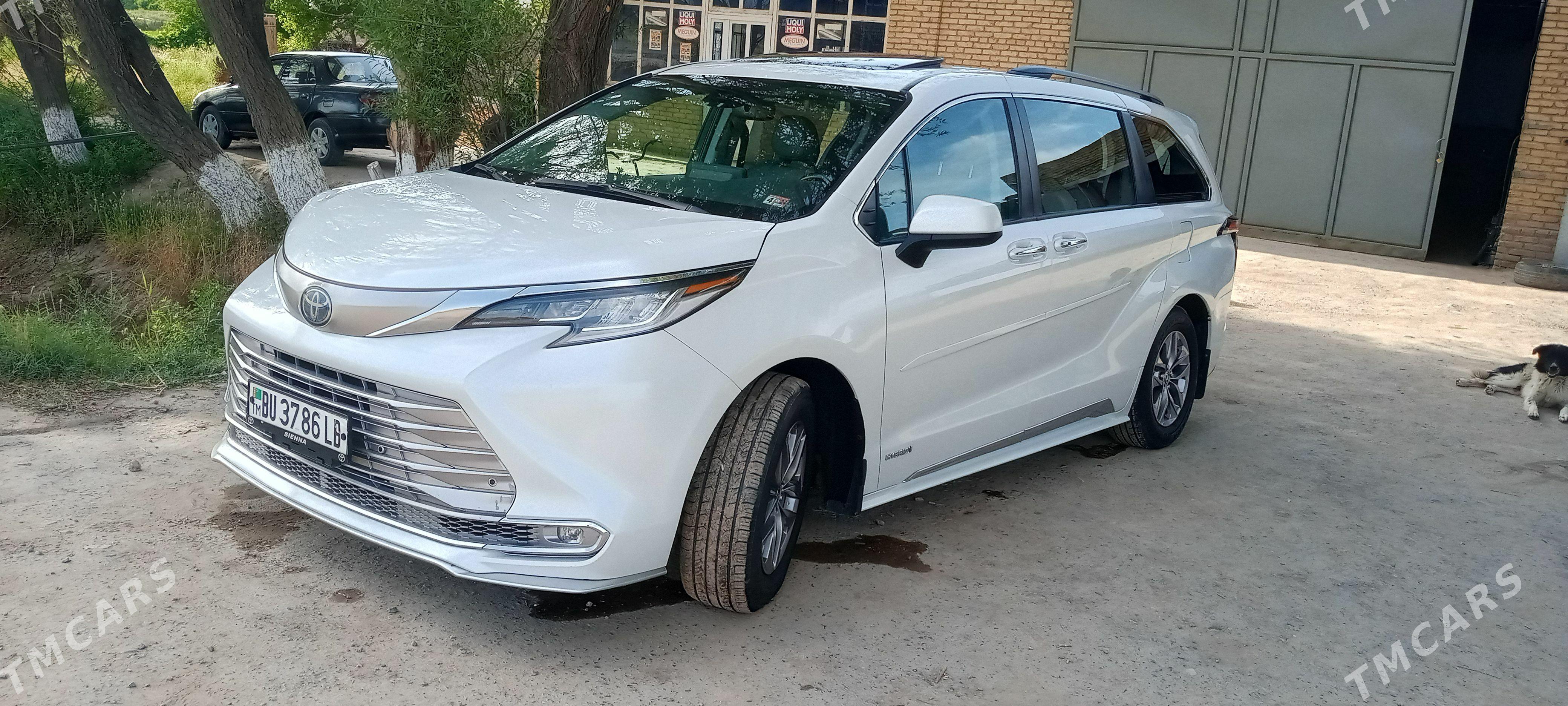 Toyota Sienna 2022 - 600 000 TMT - Халач - img 1