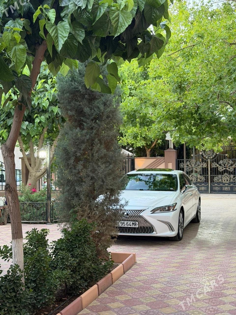 Lexus ES 350 2019 - 500 000 TMT - Mary - img 1