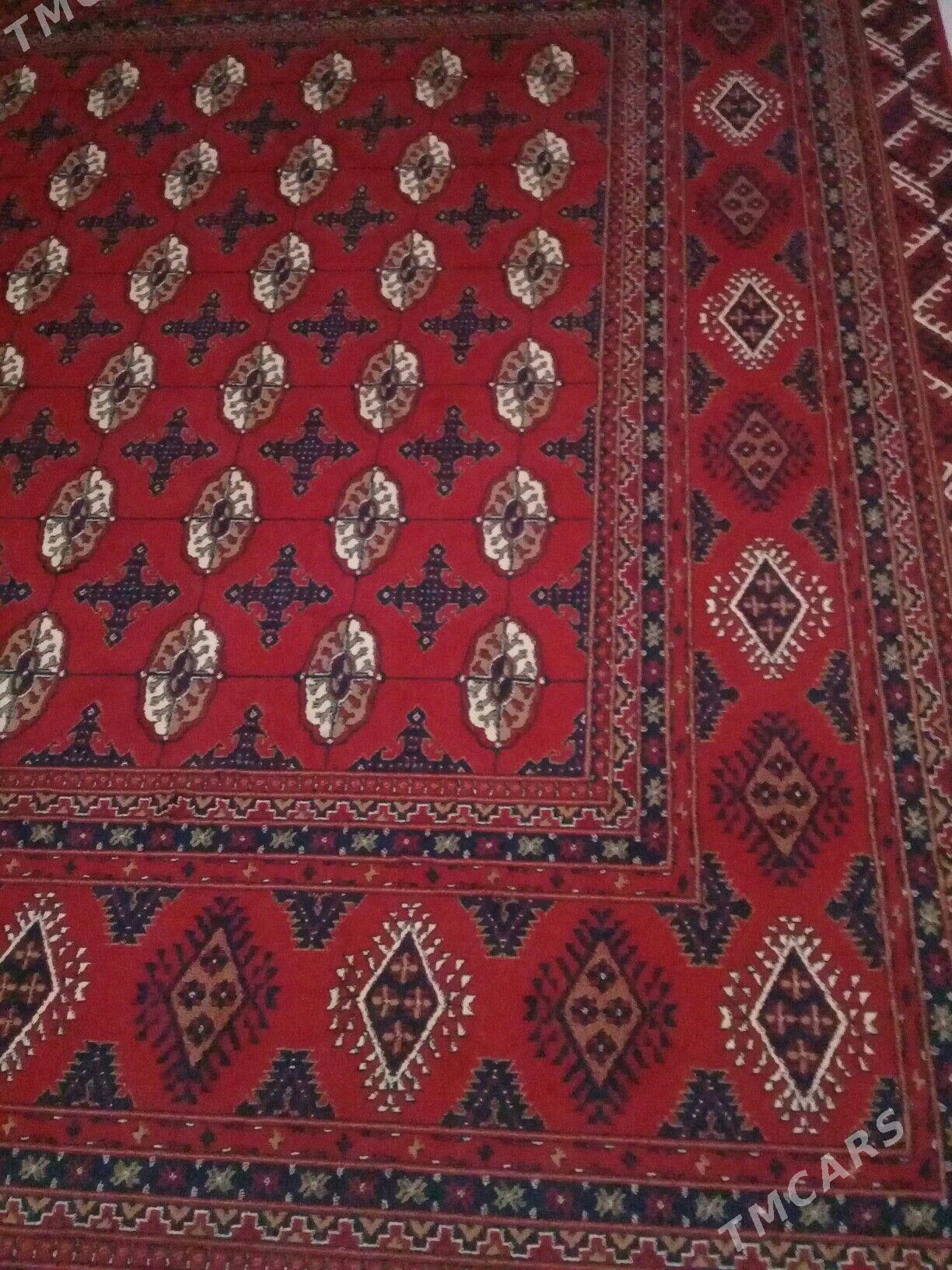 Haly - Balkanabat - img 1
