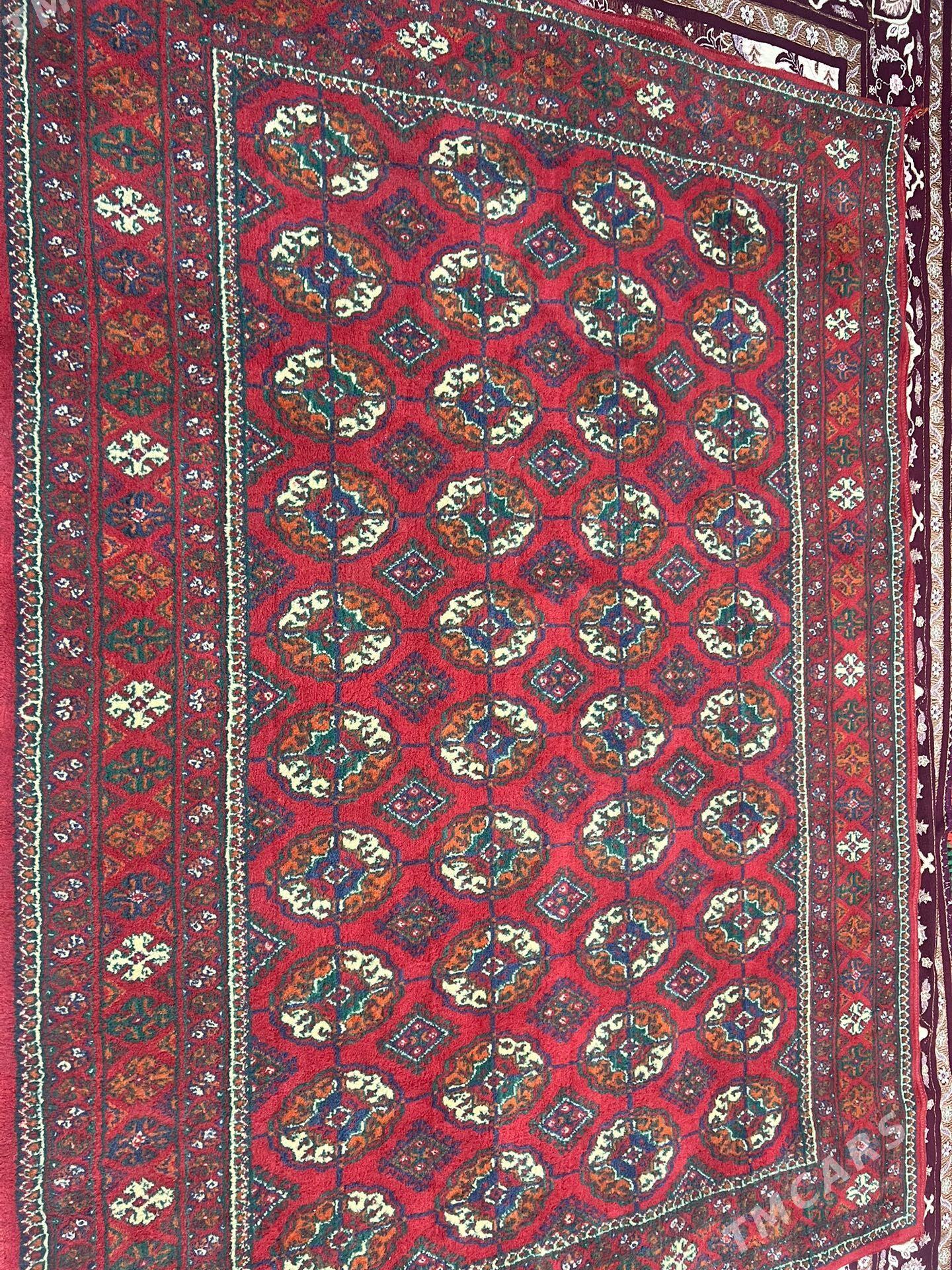 Haly - Türkmenabat - img 1