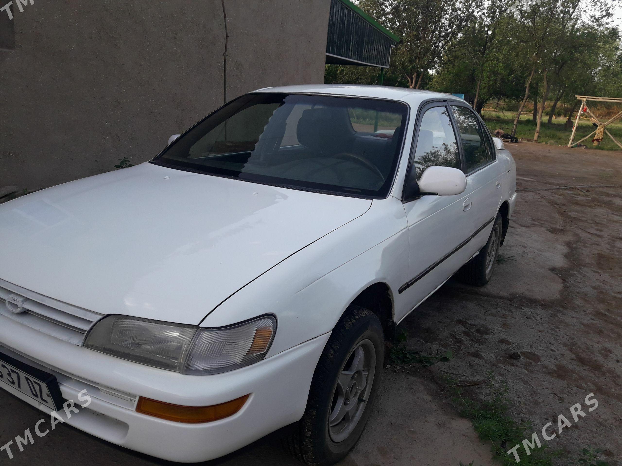Toyota Corolla 1995 - 73 000 TMT - Кёнеургенч - img 1