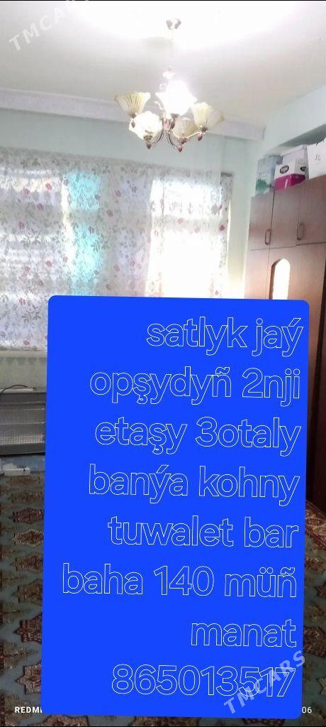 Satlyk jaý - Яшлык - img 1