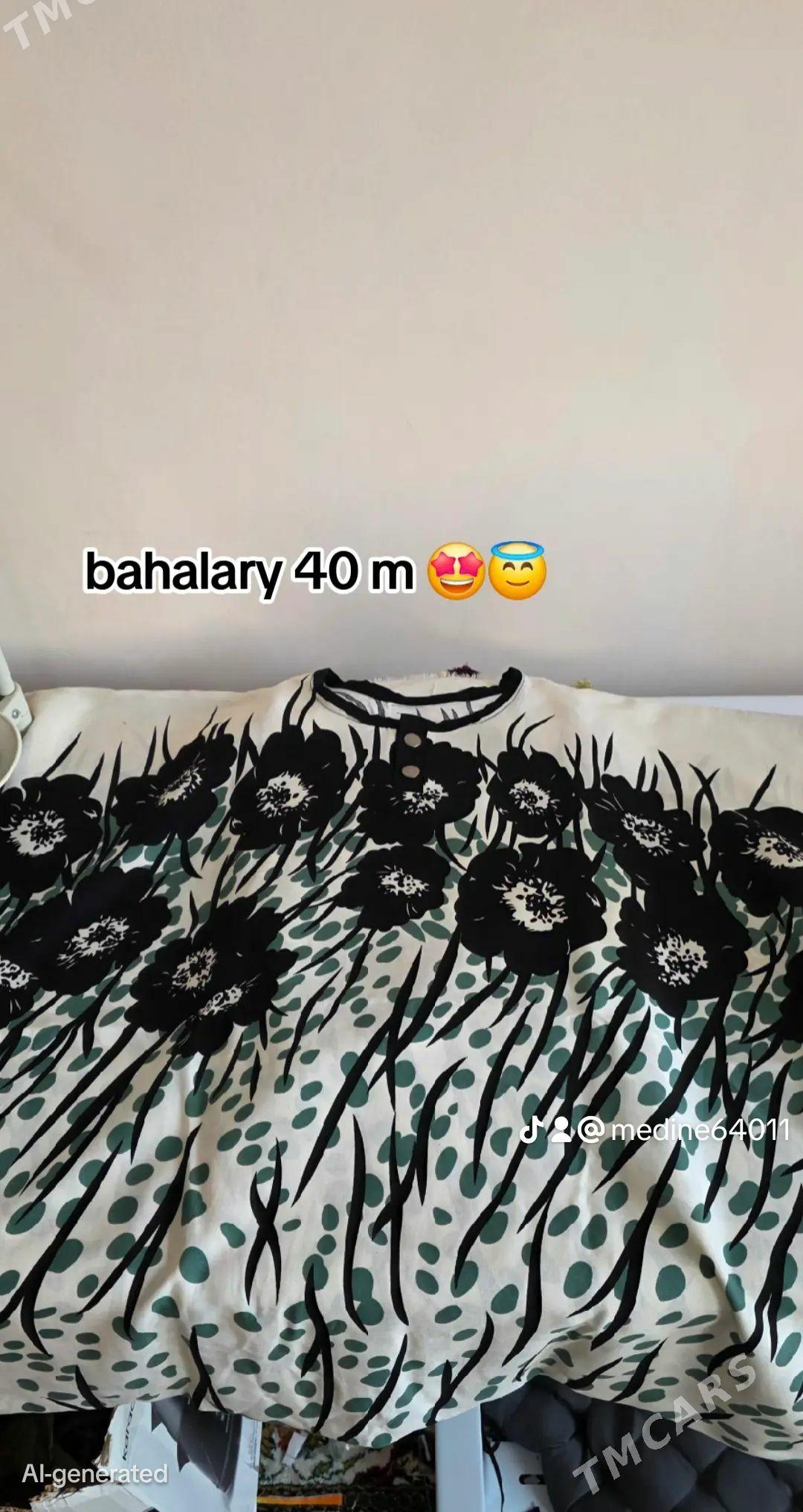gatowy köÿnekler - Aşgabat - img 1