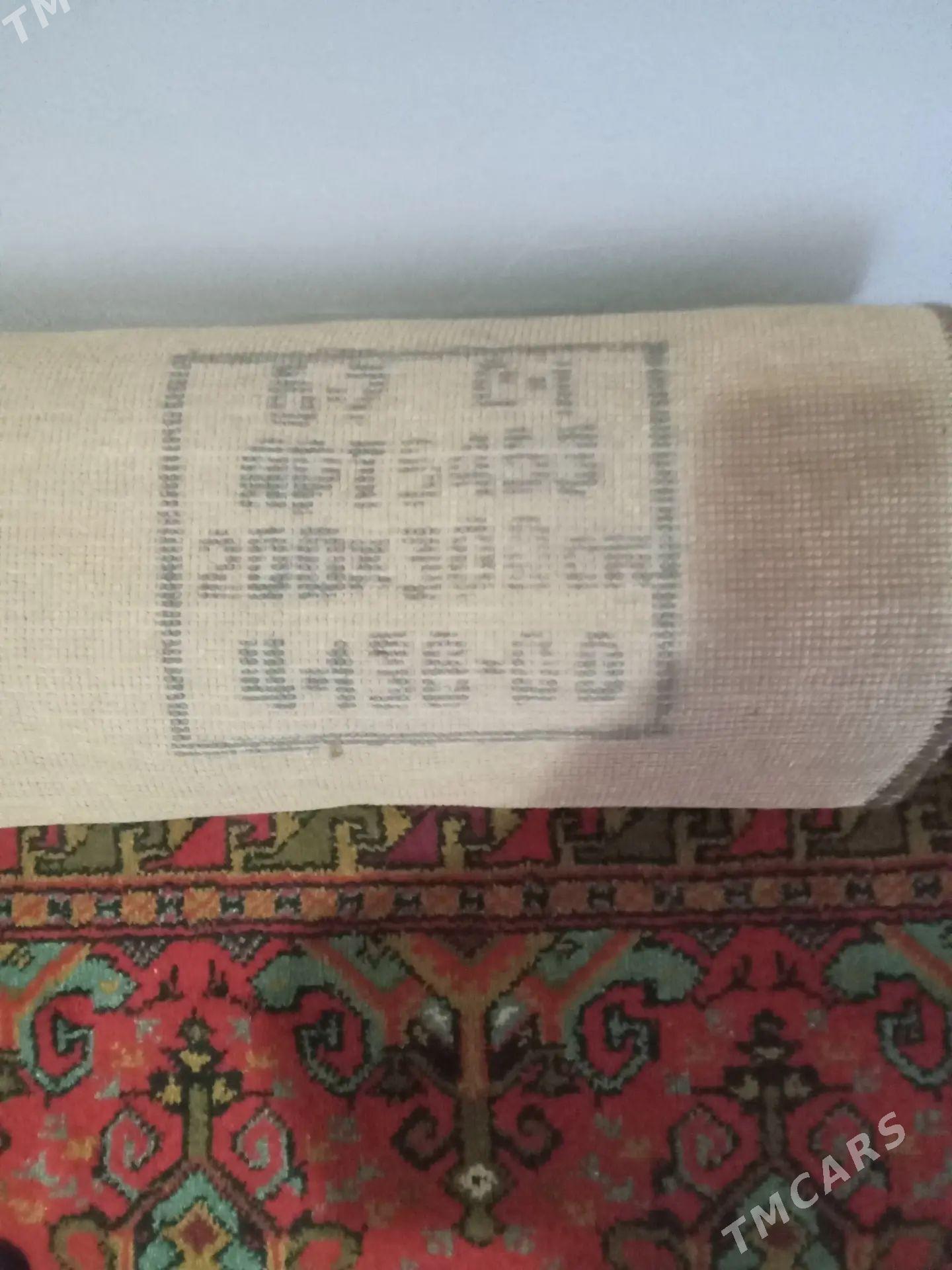 haly - Daşoguz - img 1