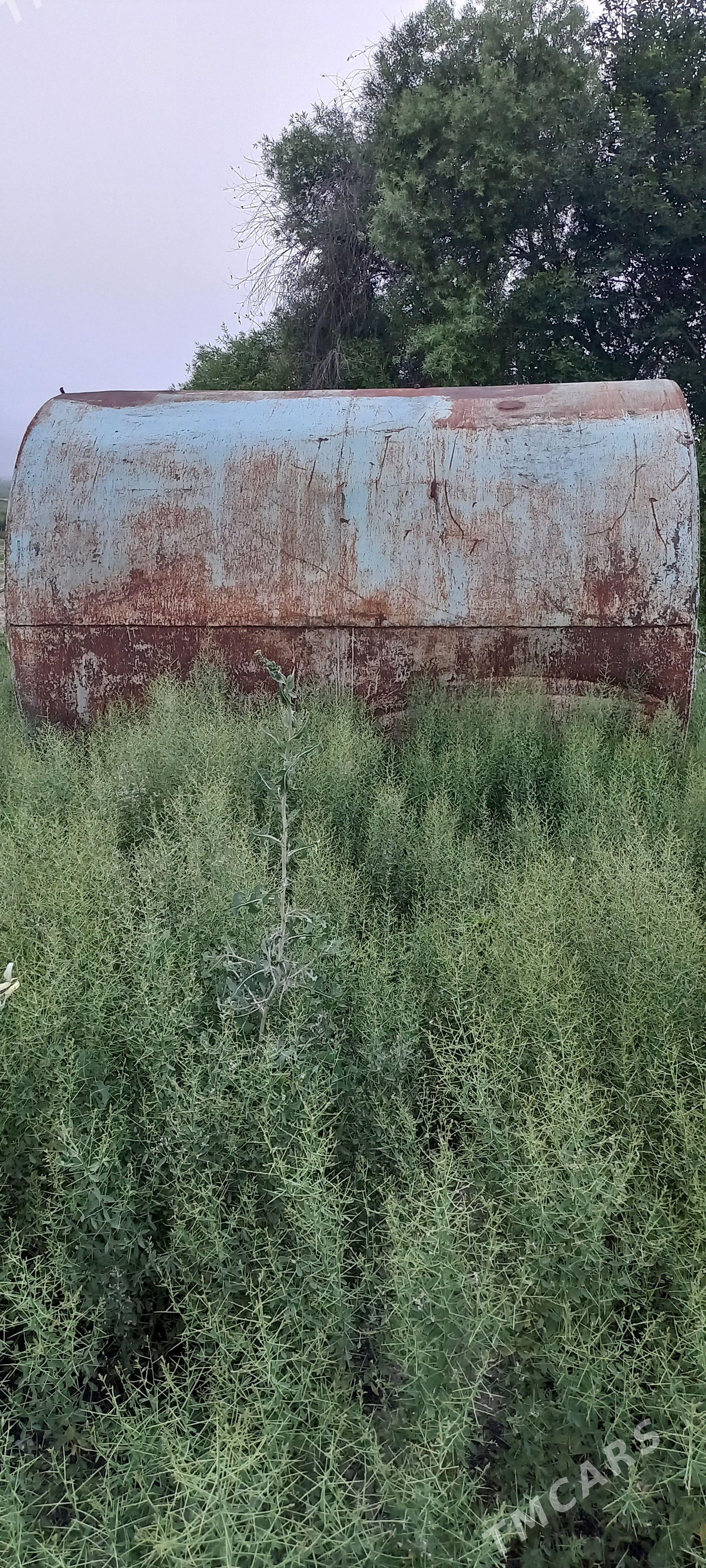 Suw bocka - Bagyr - img 1