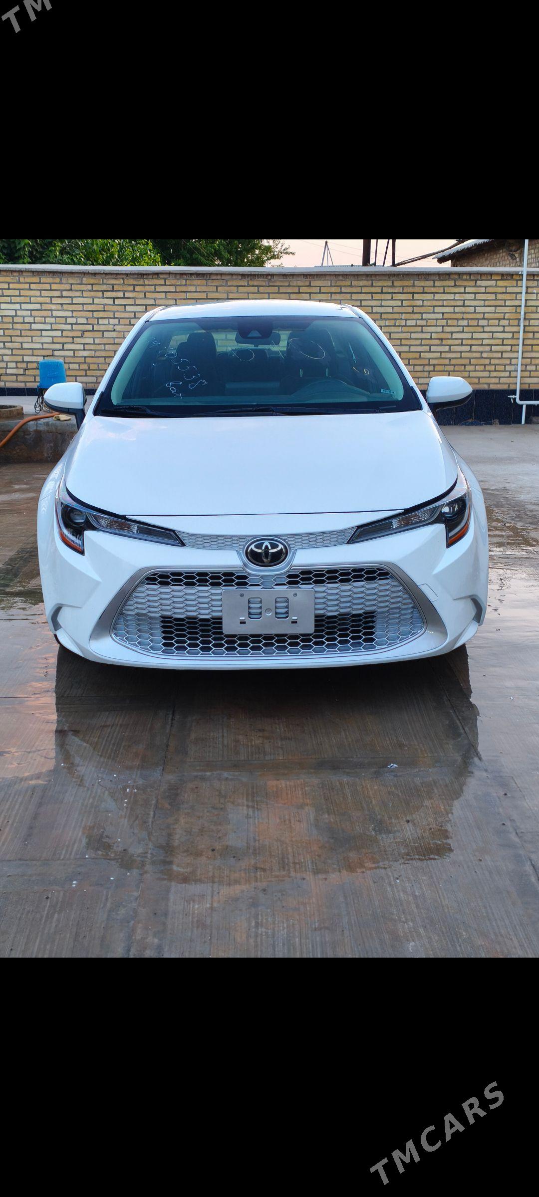Toyota Corolla 2023 - 300 000 TMT - Теджен - img 1