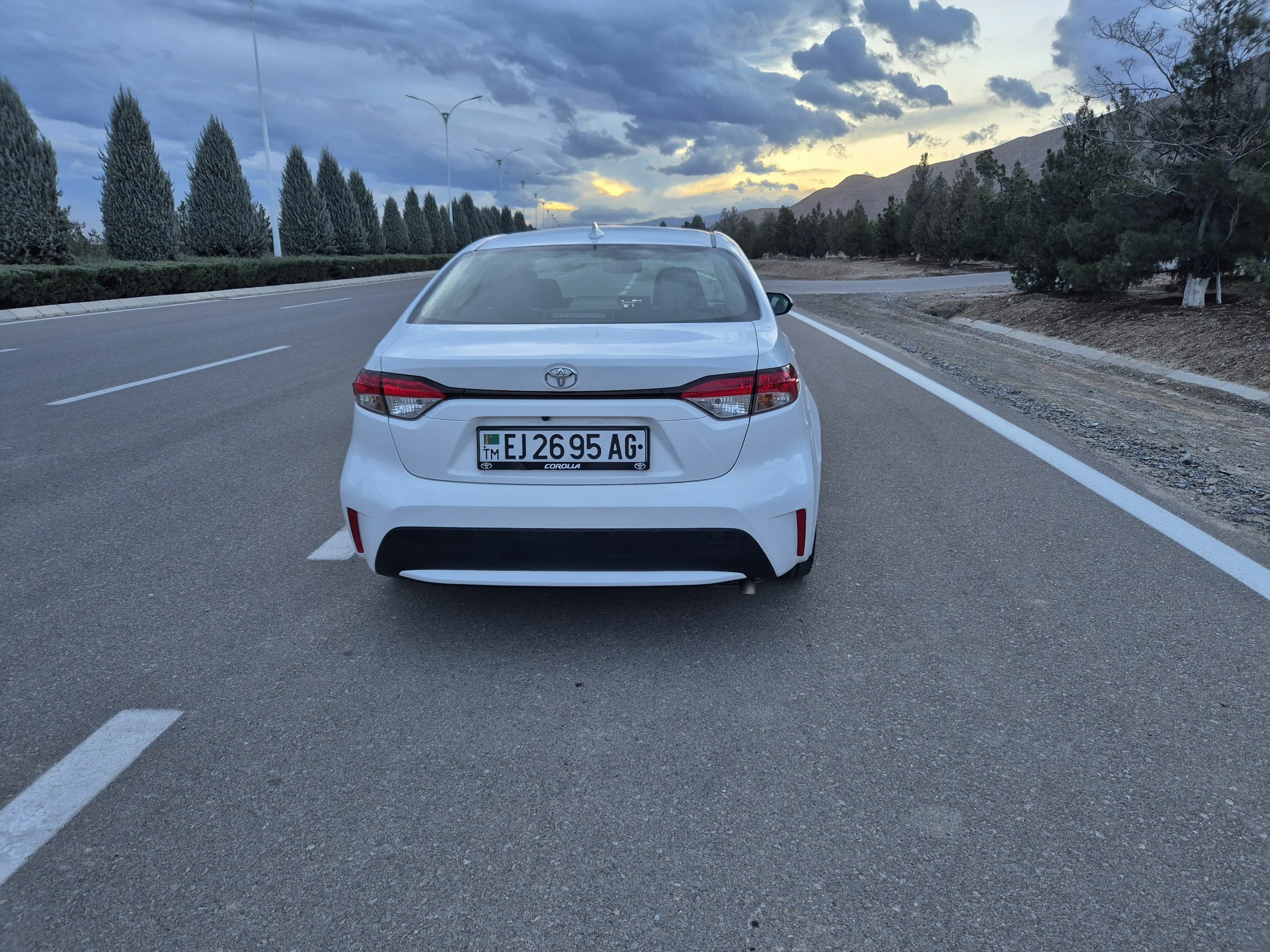 Arginal carolla kowrik 350 TMT - Büzmeýin - img 1
