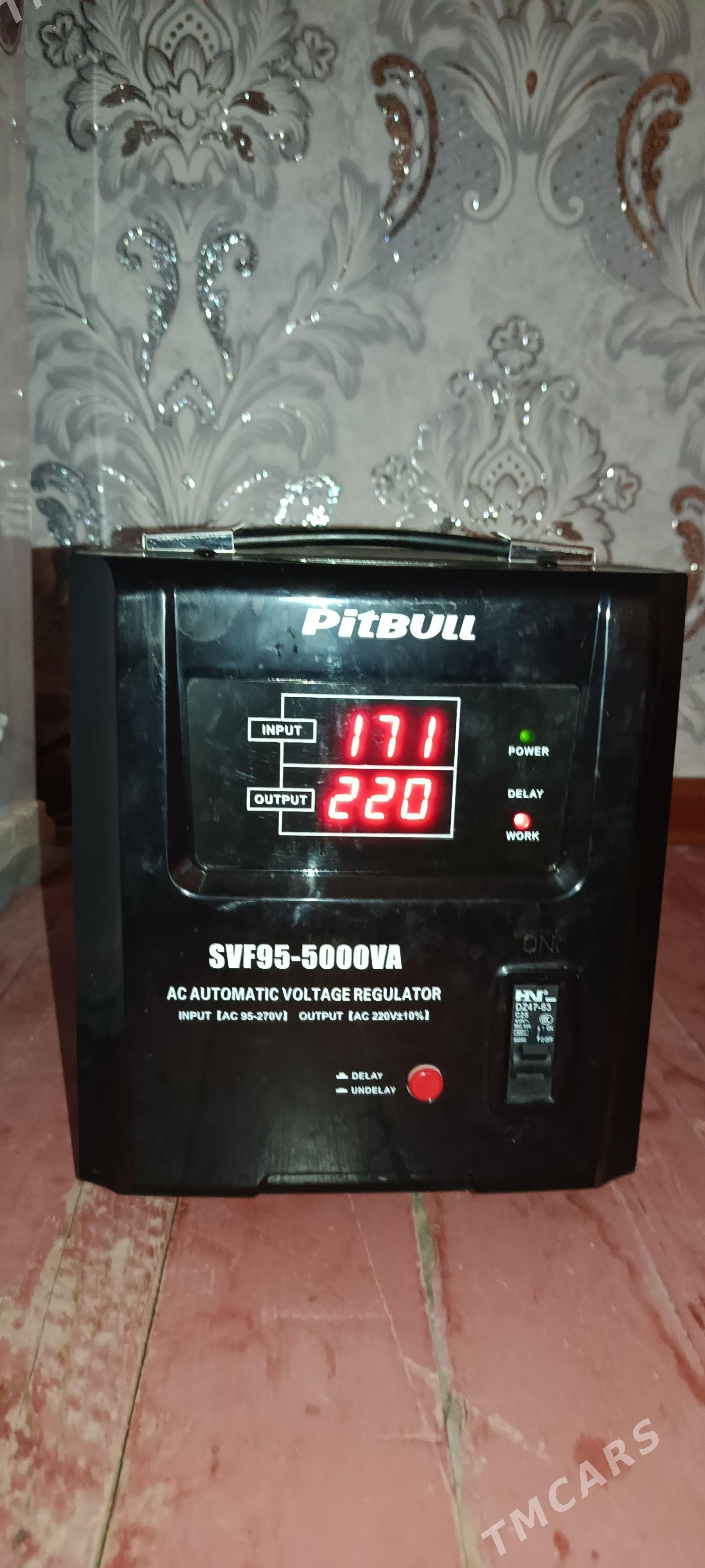 Pitbull tok köpeldilyan - Wekilbazar - img 1