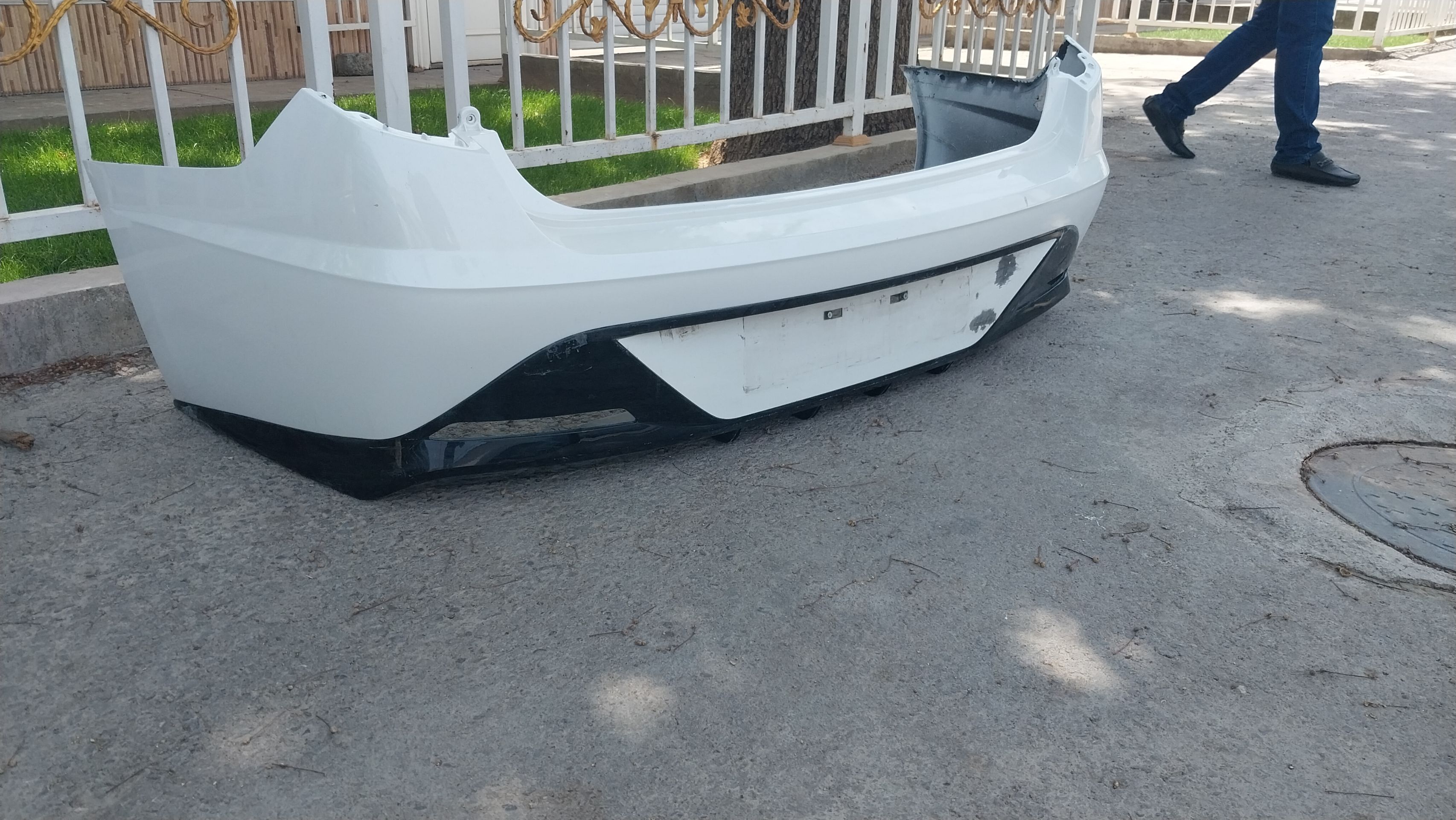 Morda bampyr 4 500 TMT - Ашхабад - img 1
