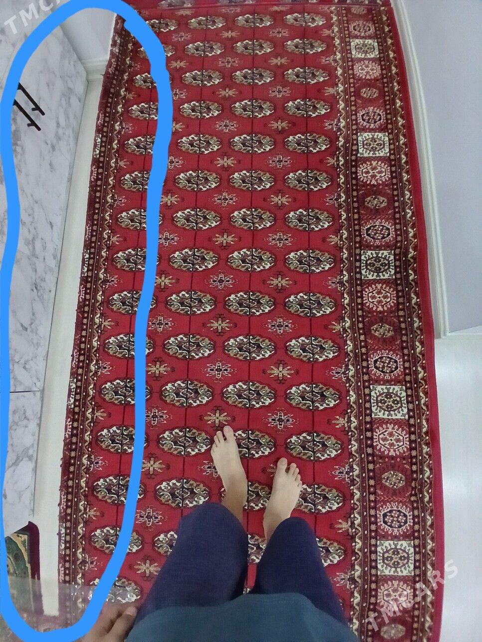 haly - Türkmenbaşy - img 1