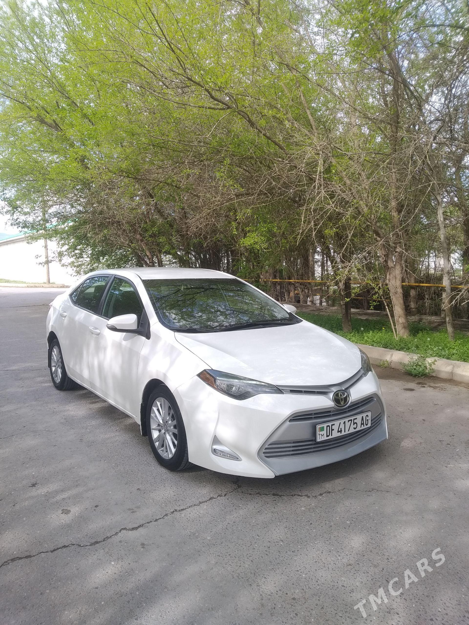 Toyota Corolla 2019 - 215 000 TMT - Ашхабад - img 1