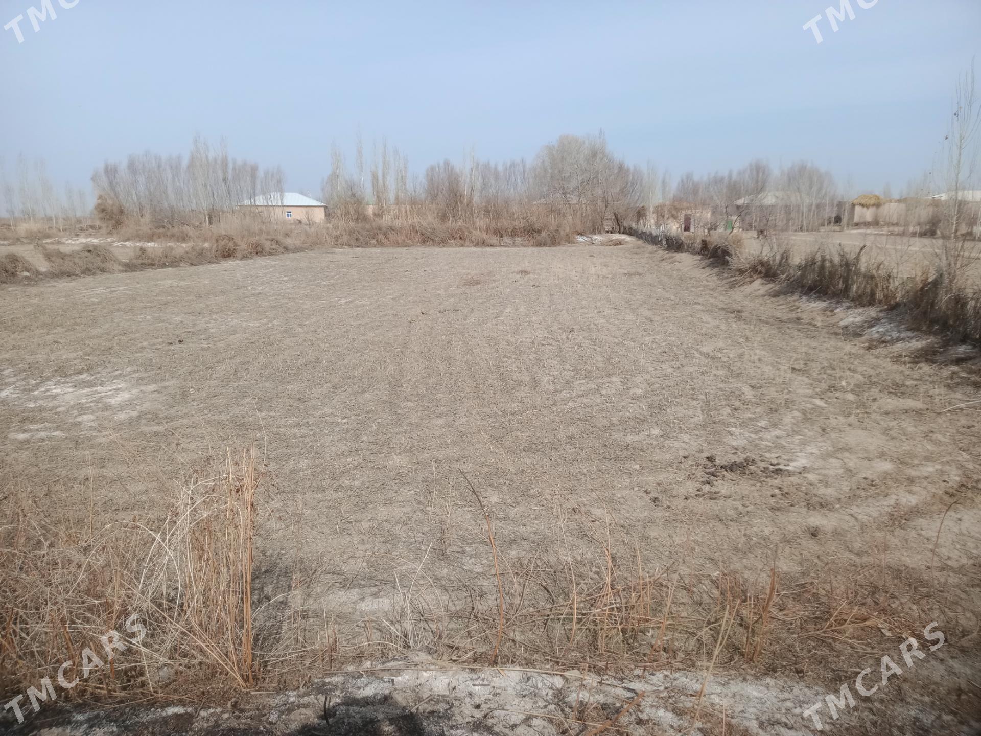 Mellek ýer satlyk - Gubadag - img 1
