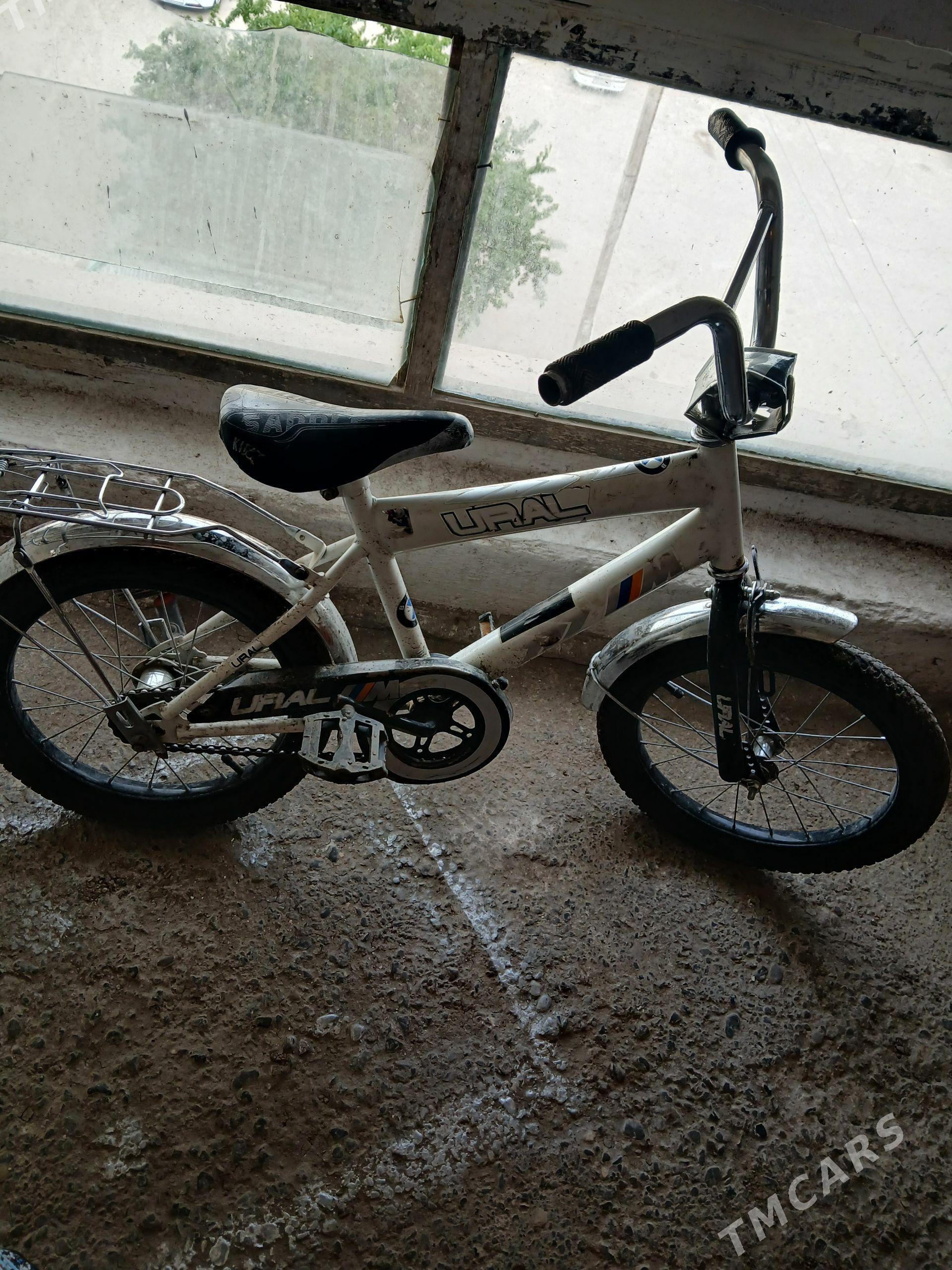VELSEPED - Дашогуз - img 1