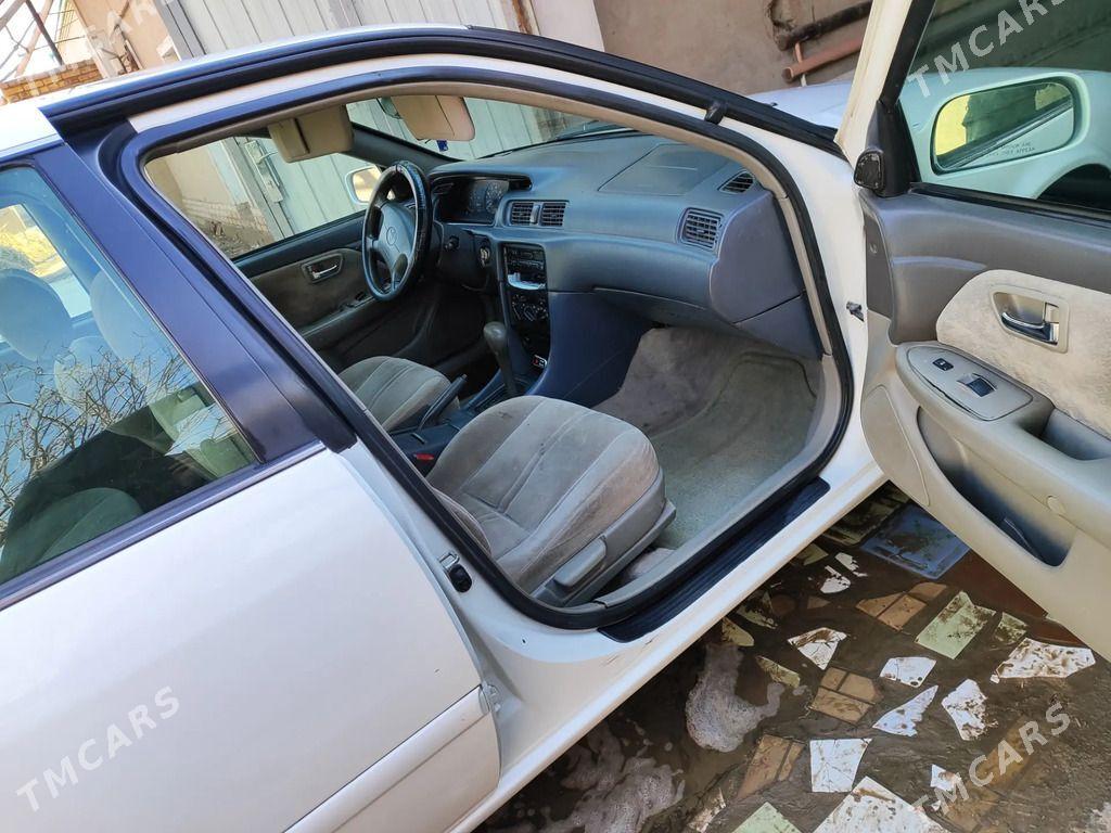 Toyota Camry 2001 - 170 000 TMT - Гороглы (Тагта) - img 1