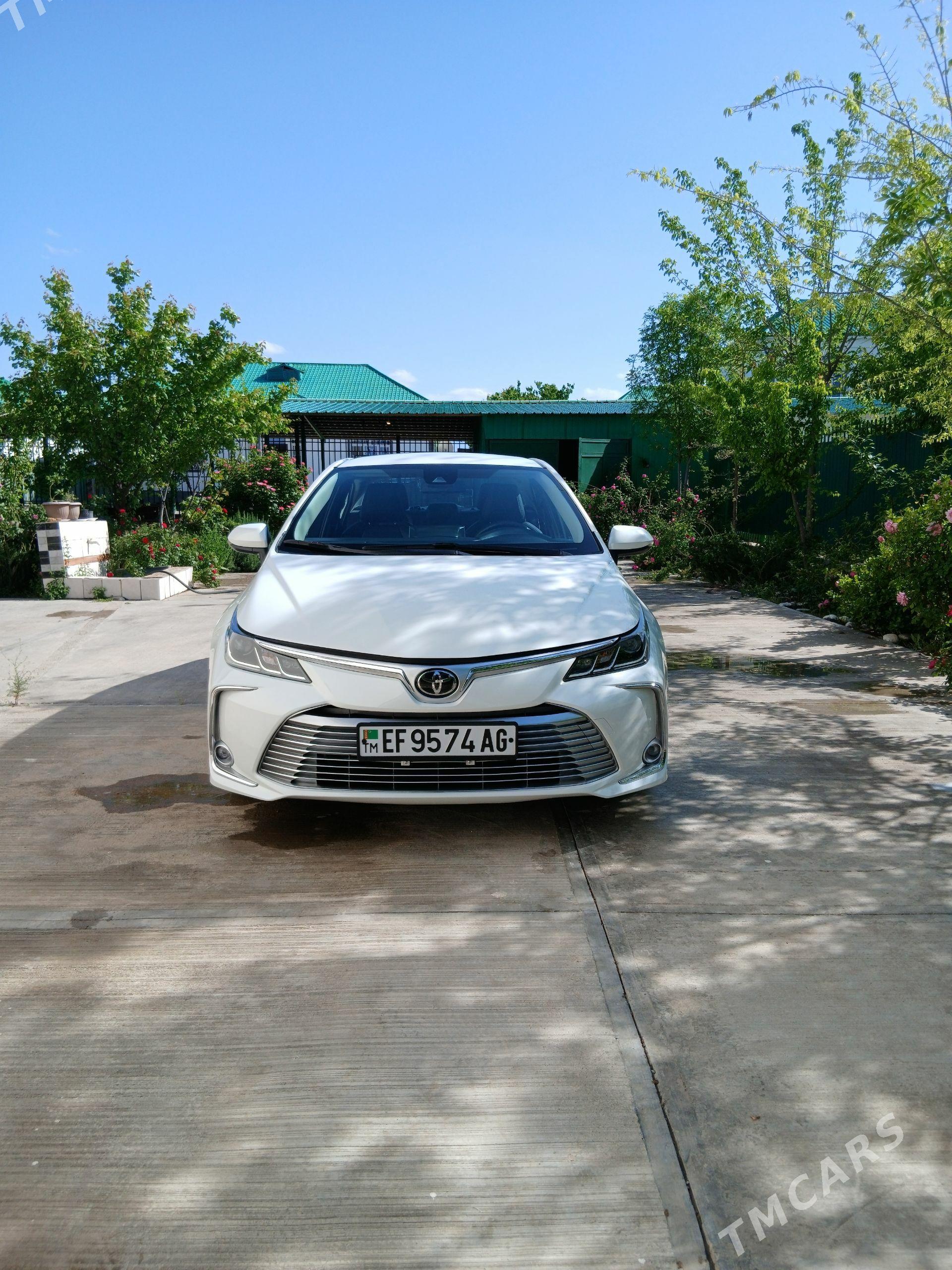 Toyota Corolla 2022 - 263 000 TMT - Ашхабад - img 1