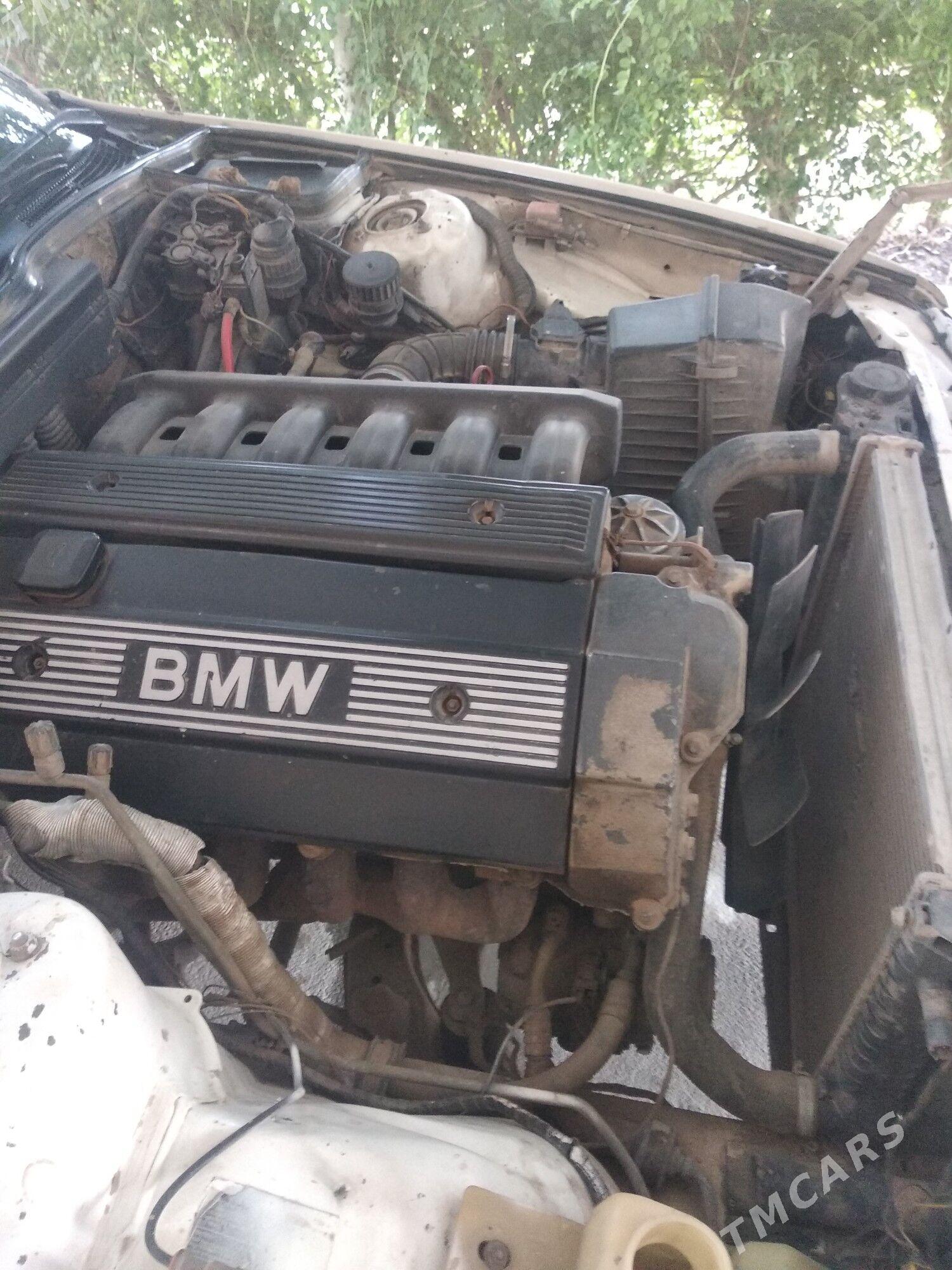 BMW 520 1993 - 46 000 TMT - Sakarçäge - img 1