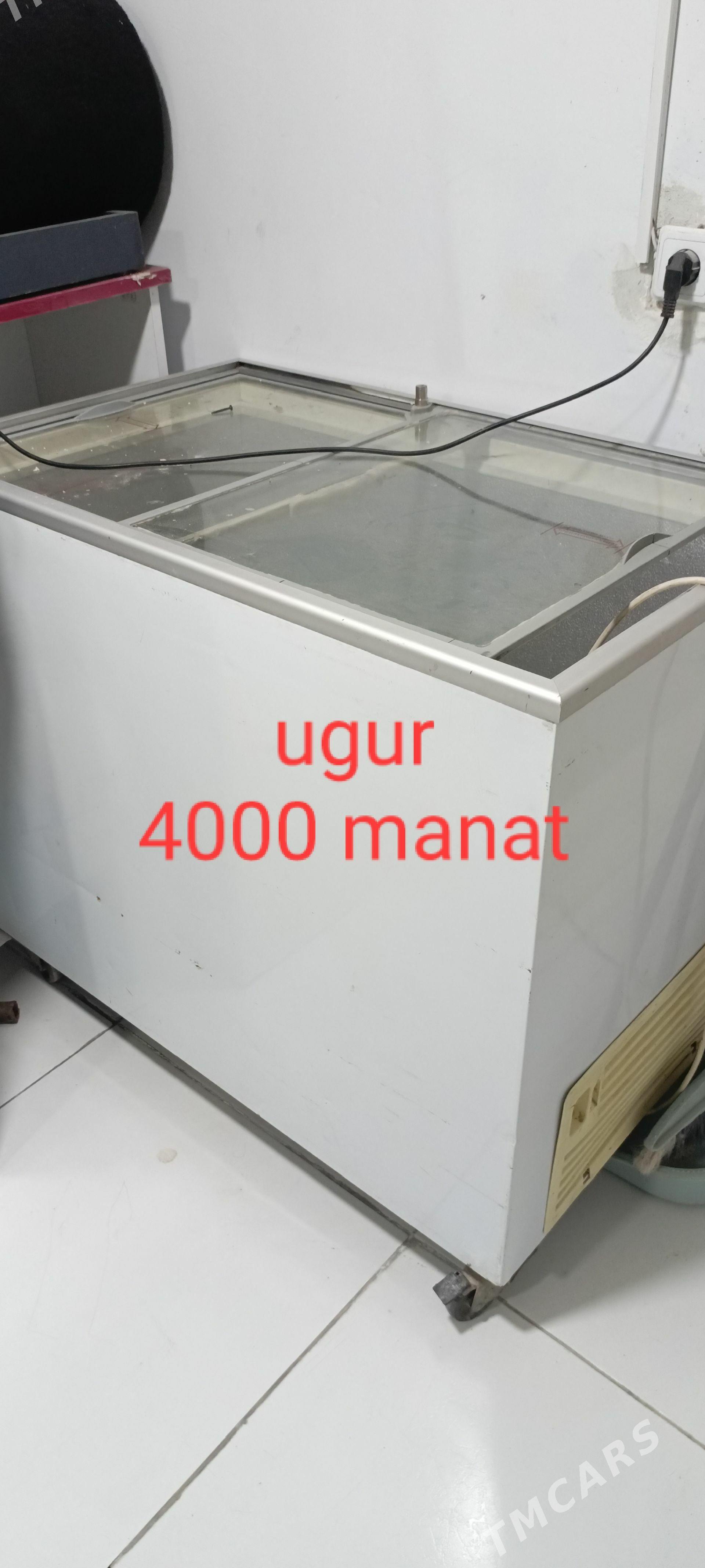 marazinik ugur - Änew - img 1