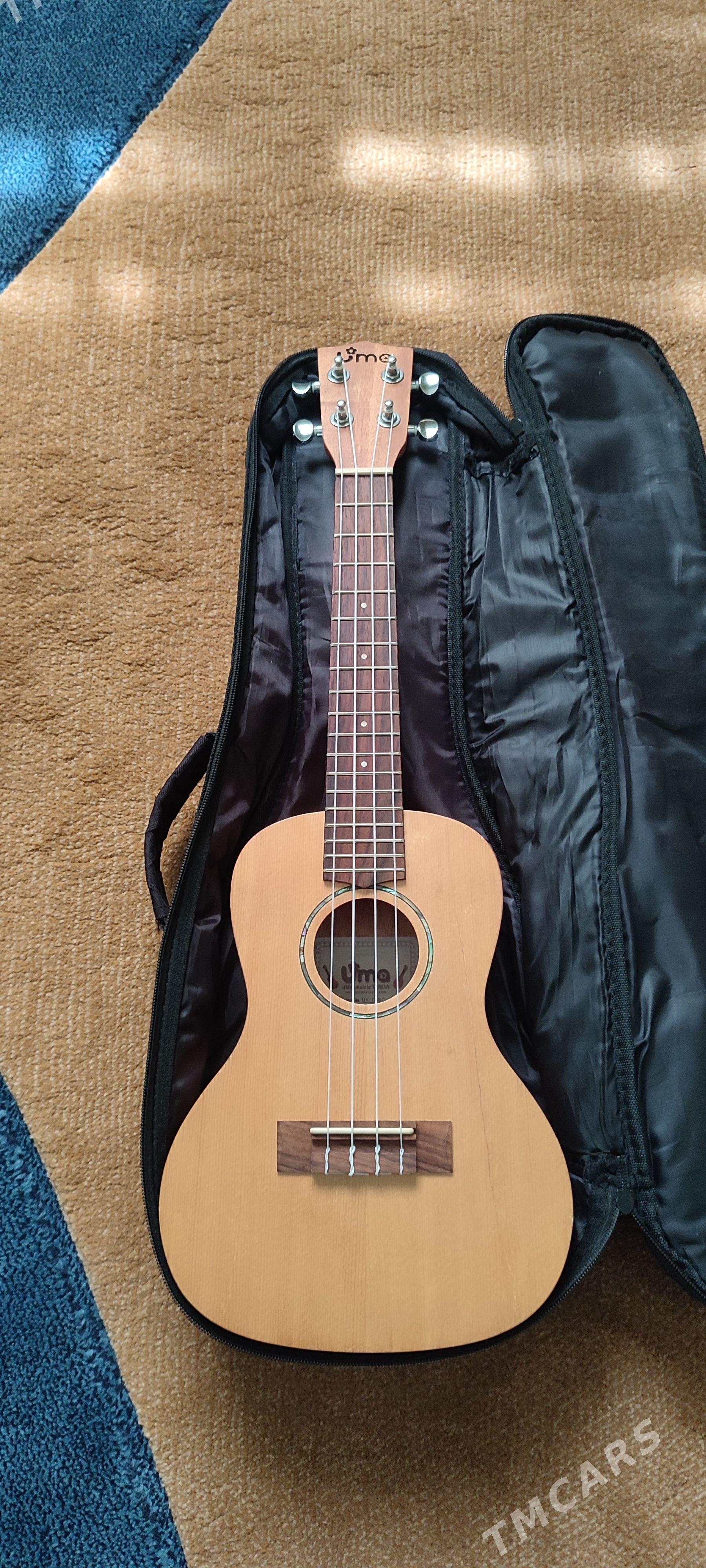 Gitara - Мургап - img 1