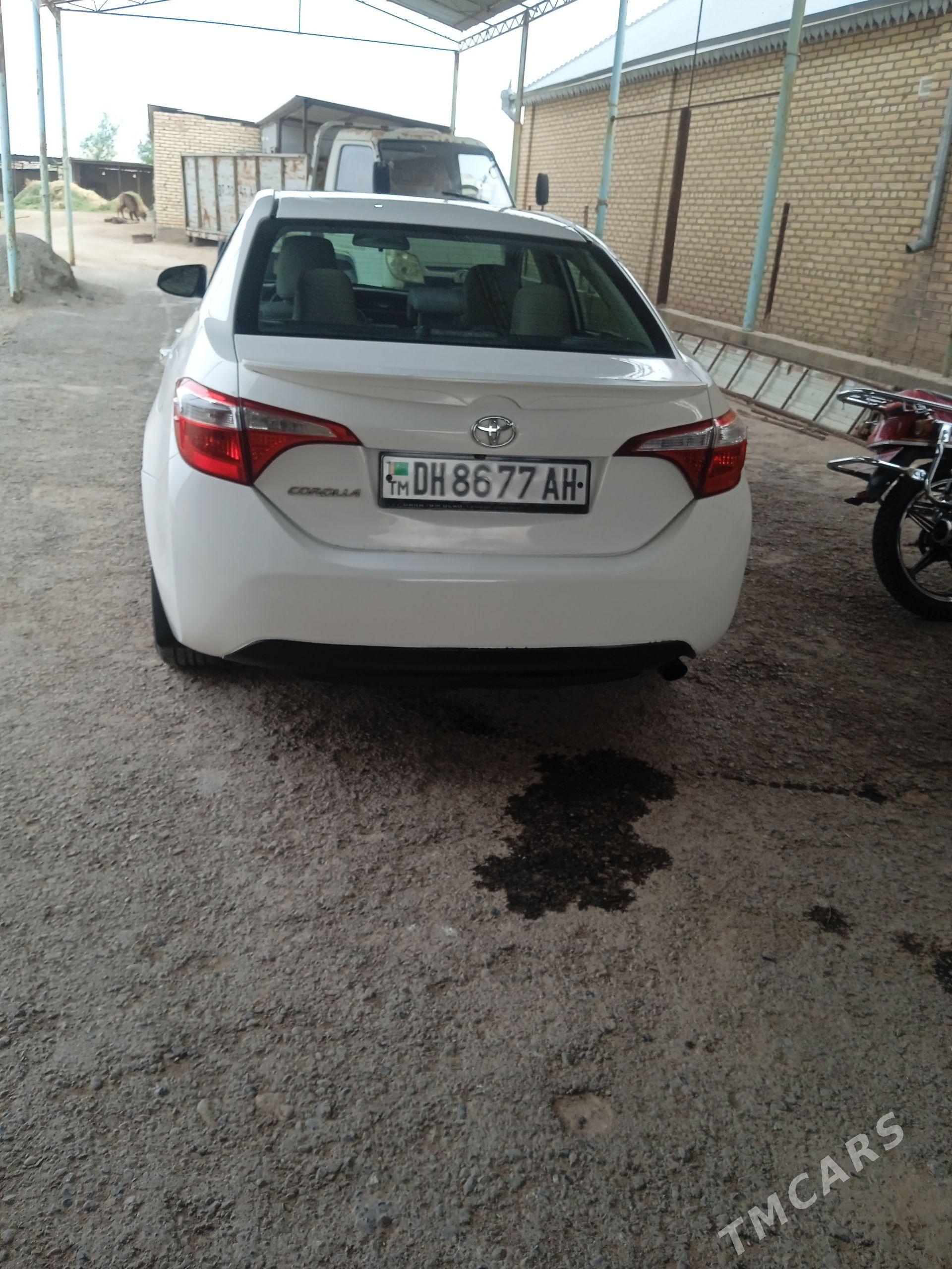 Toyota Corolla 2014 - 200 000 TMT - Бабадайхан - img 1