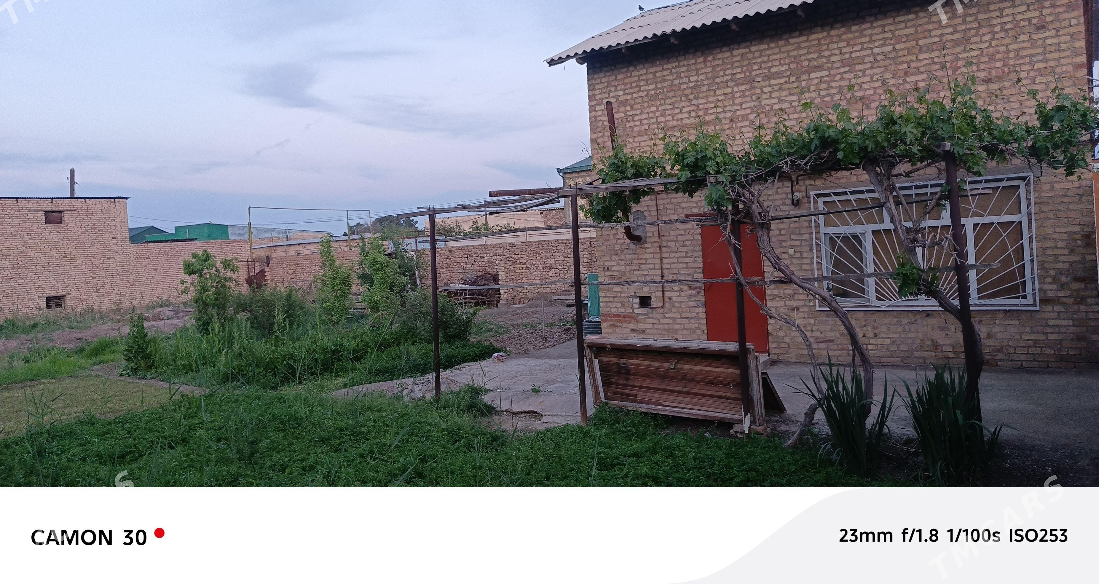 Satılık Daça - Туркменабат - img 1