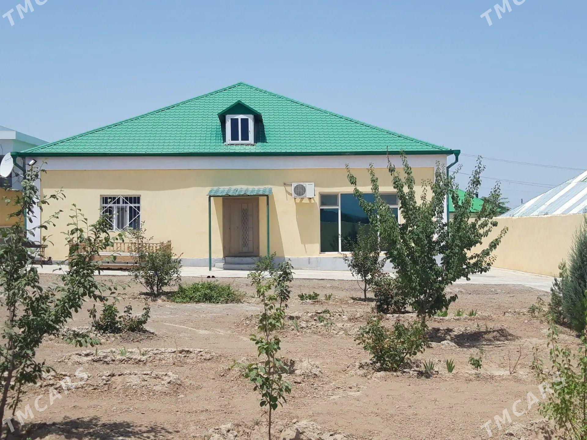 Bagyr Dasgala-Багир Дашгала - Bagyr - img 1