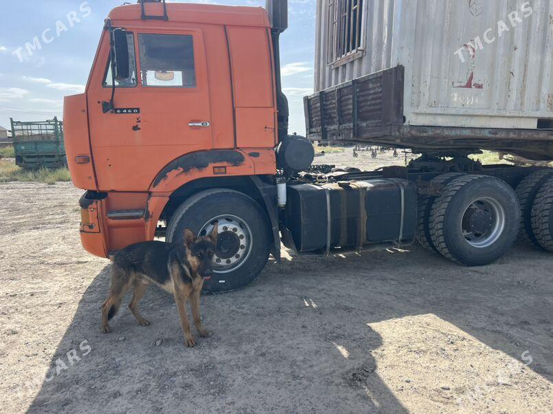 Kamaz 6520 2010 - 310 000 TMT - Кака - img 1