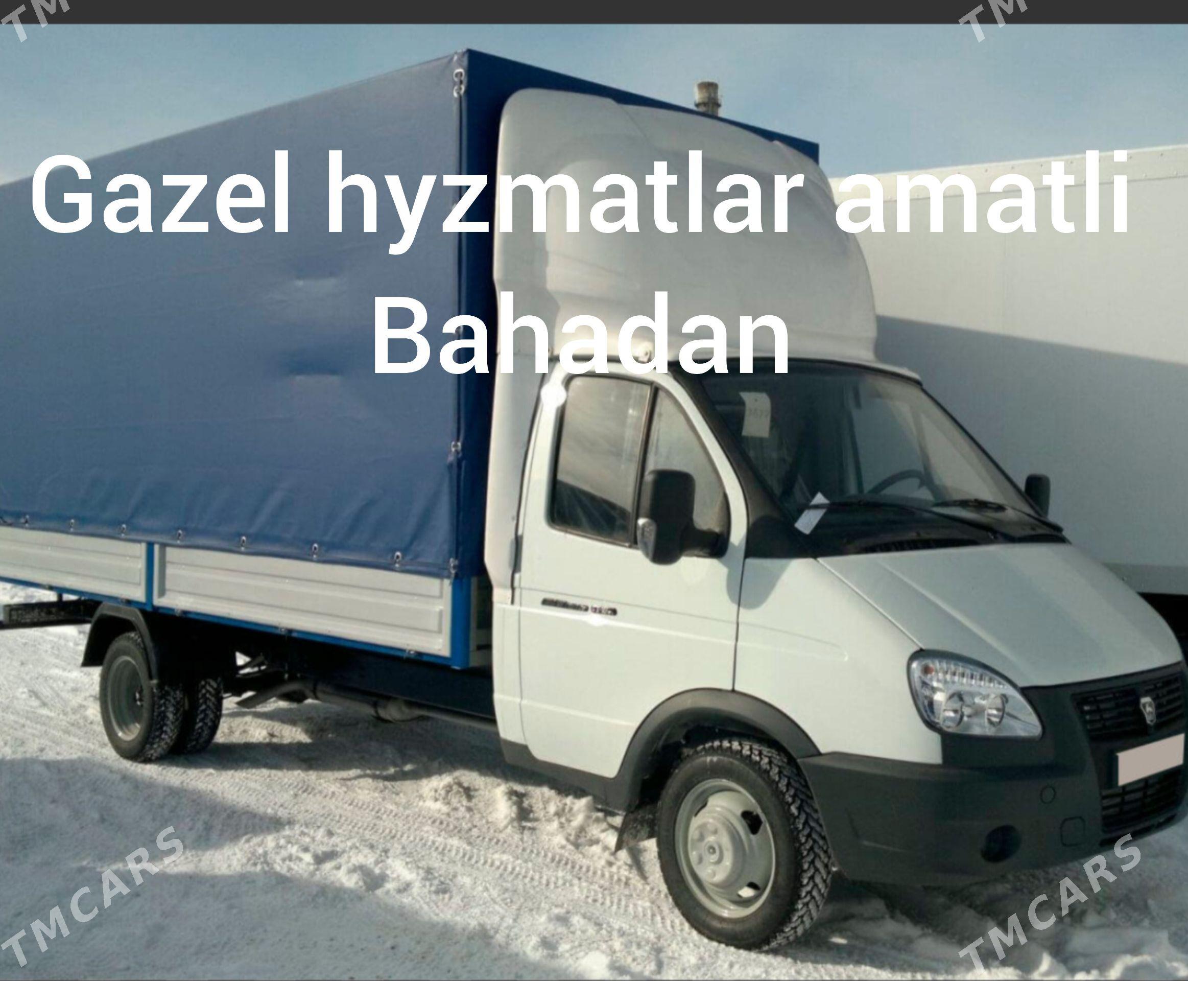 gazel - Ашхабад - img 1